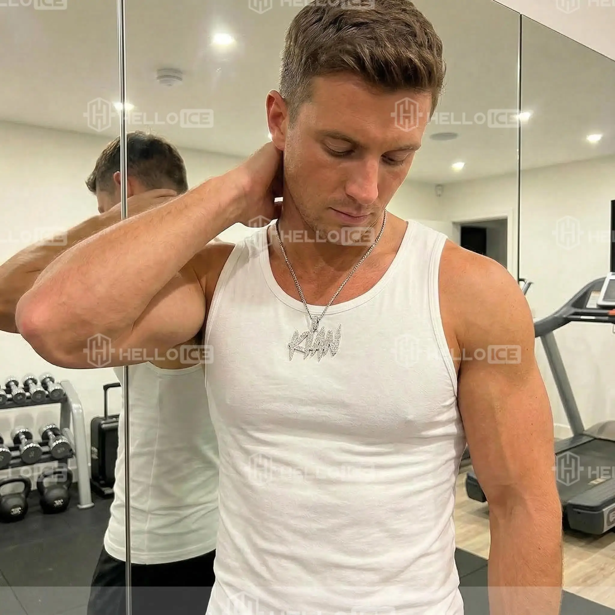 Helloice Review Image