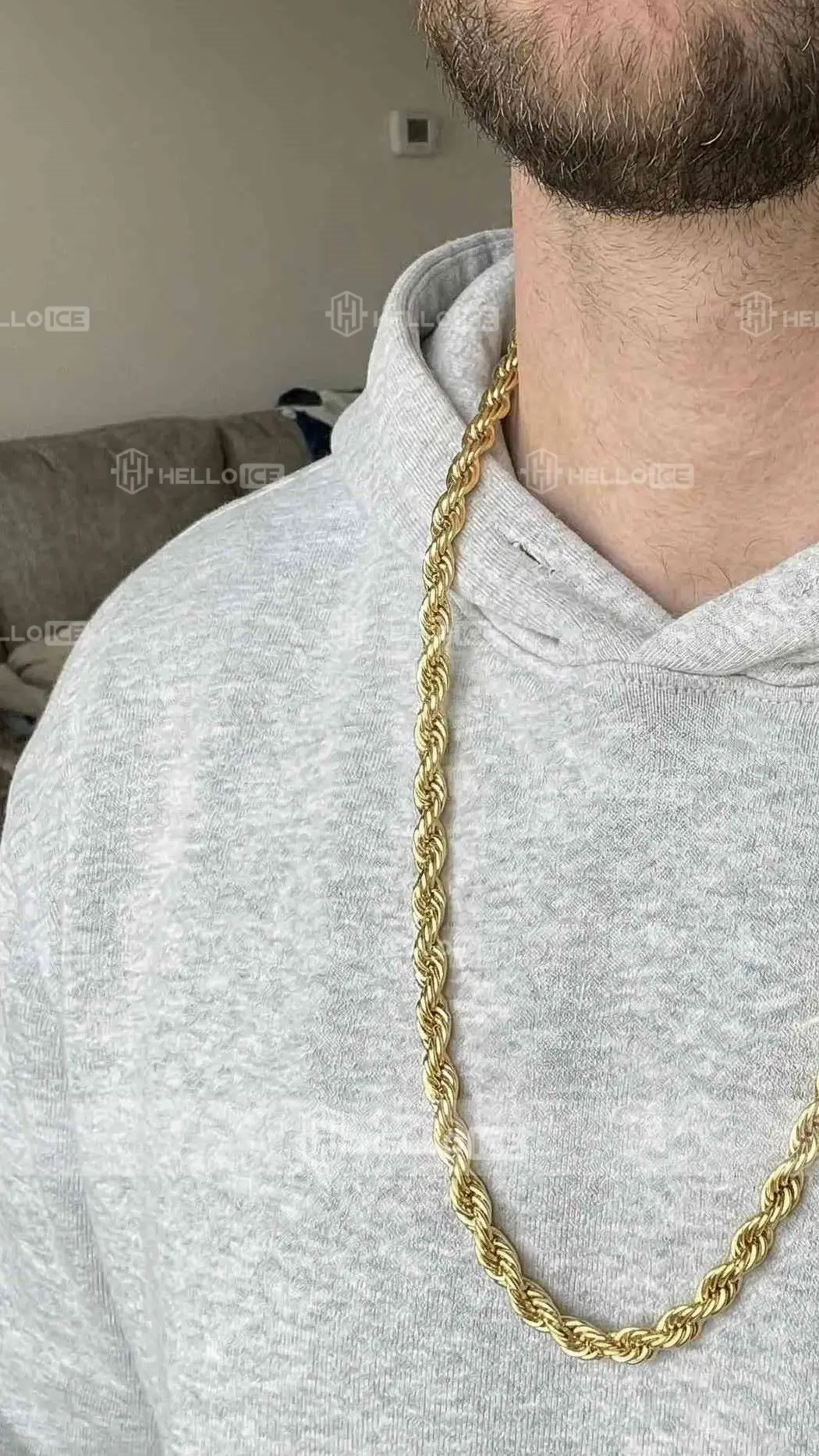 Helloice Review Image