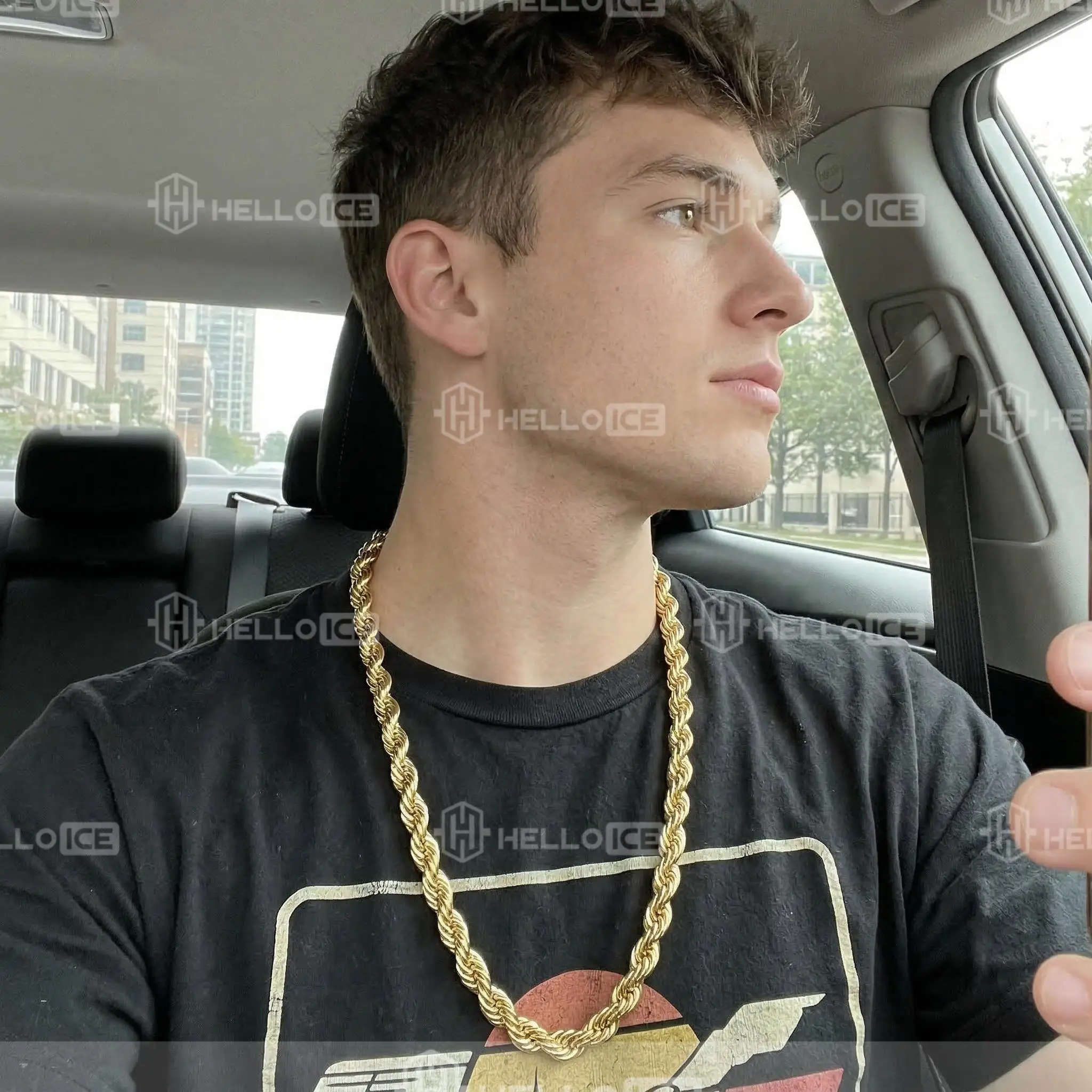 Helloice Review Image