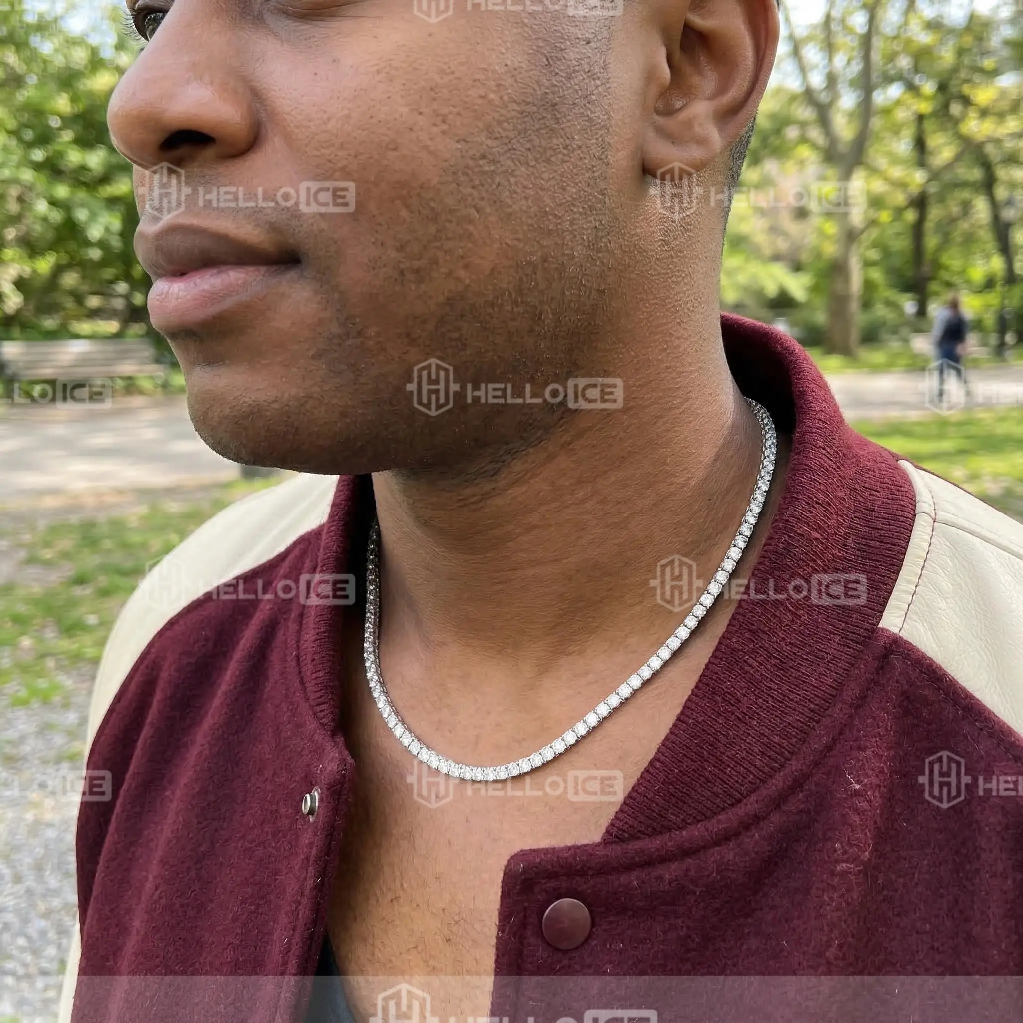 Helloice Review Image