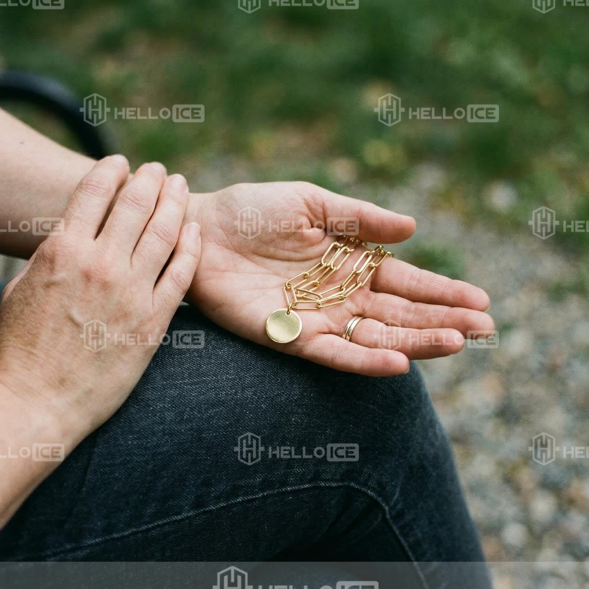 Helloice Review Image