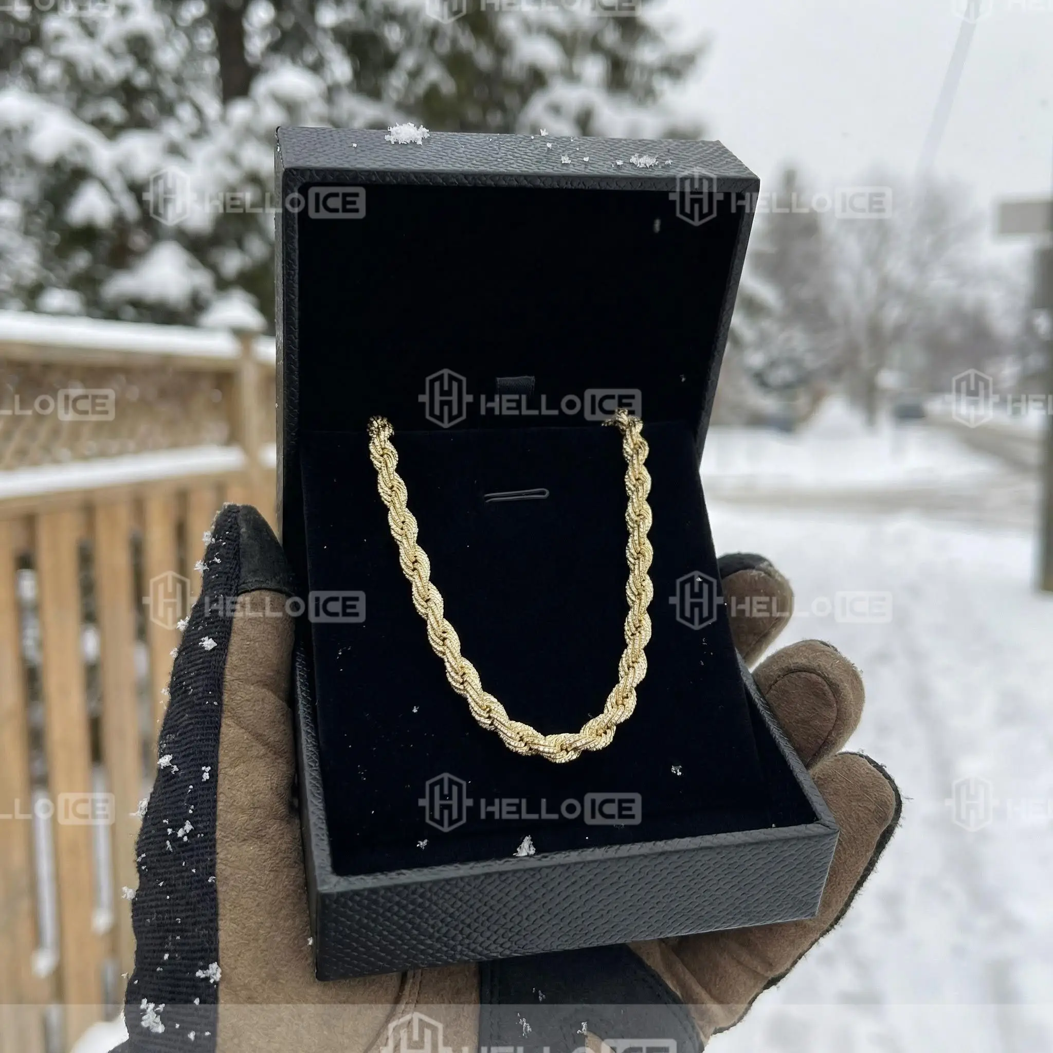 Helloice Review Image
