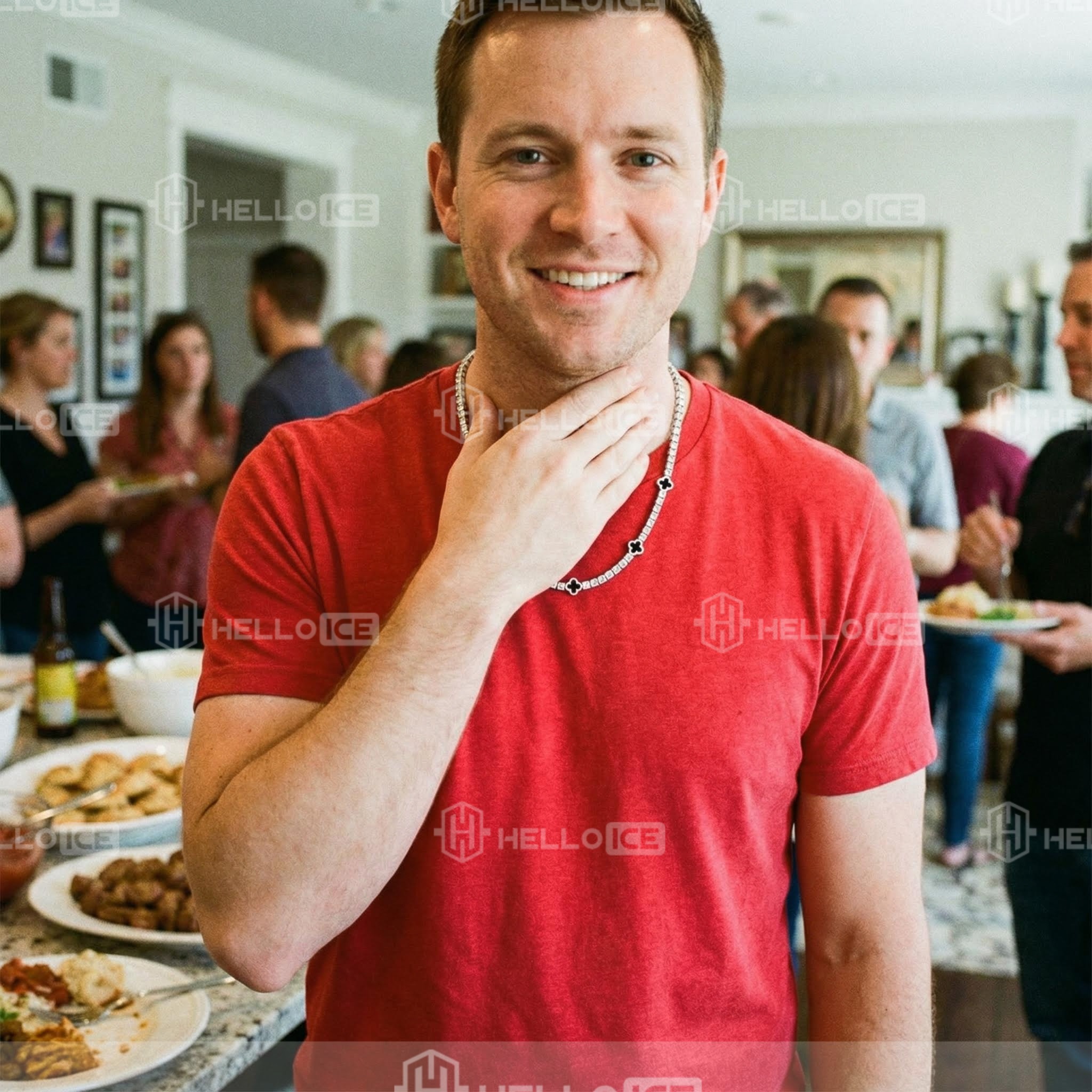 Helloice Review Image