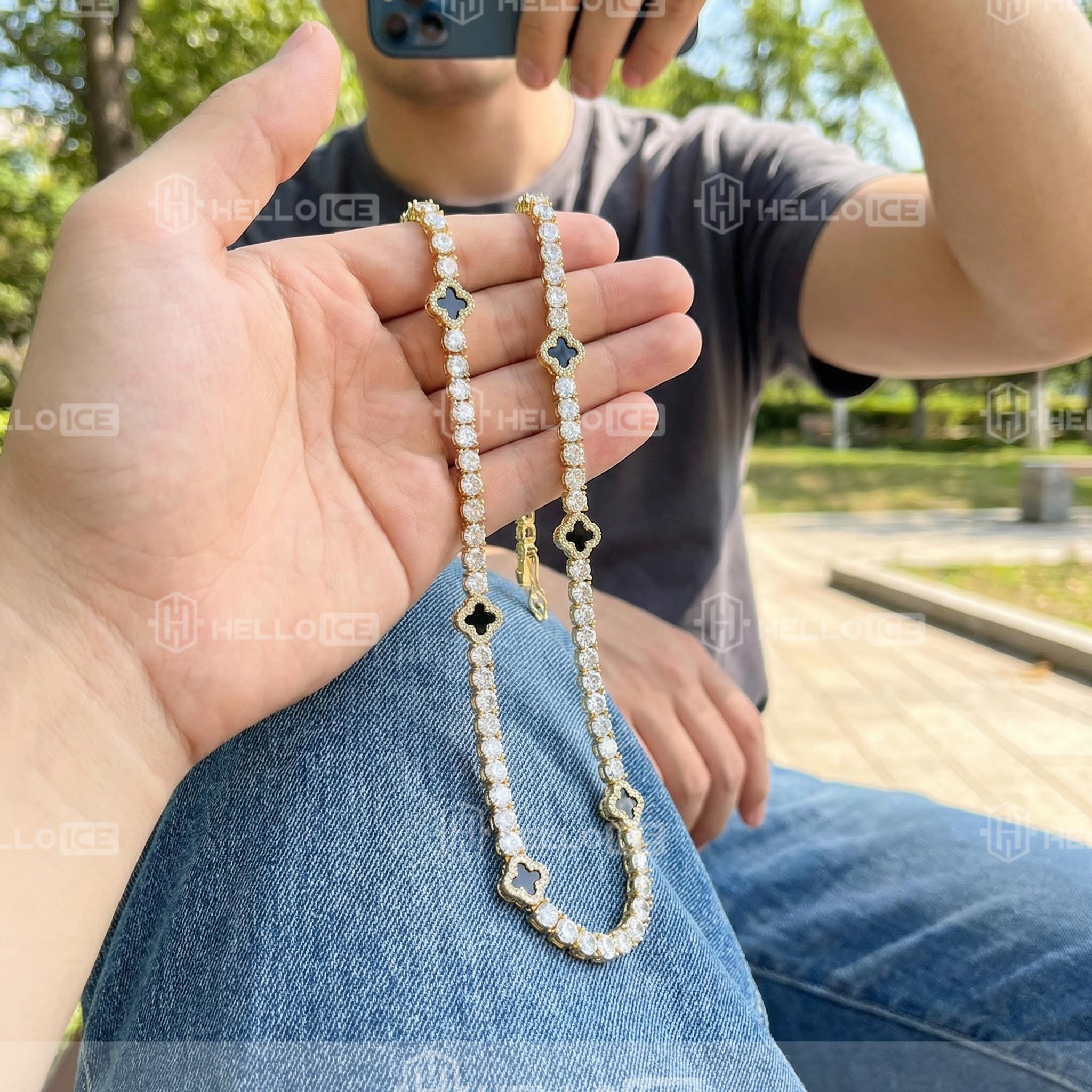 Helloice Review Image