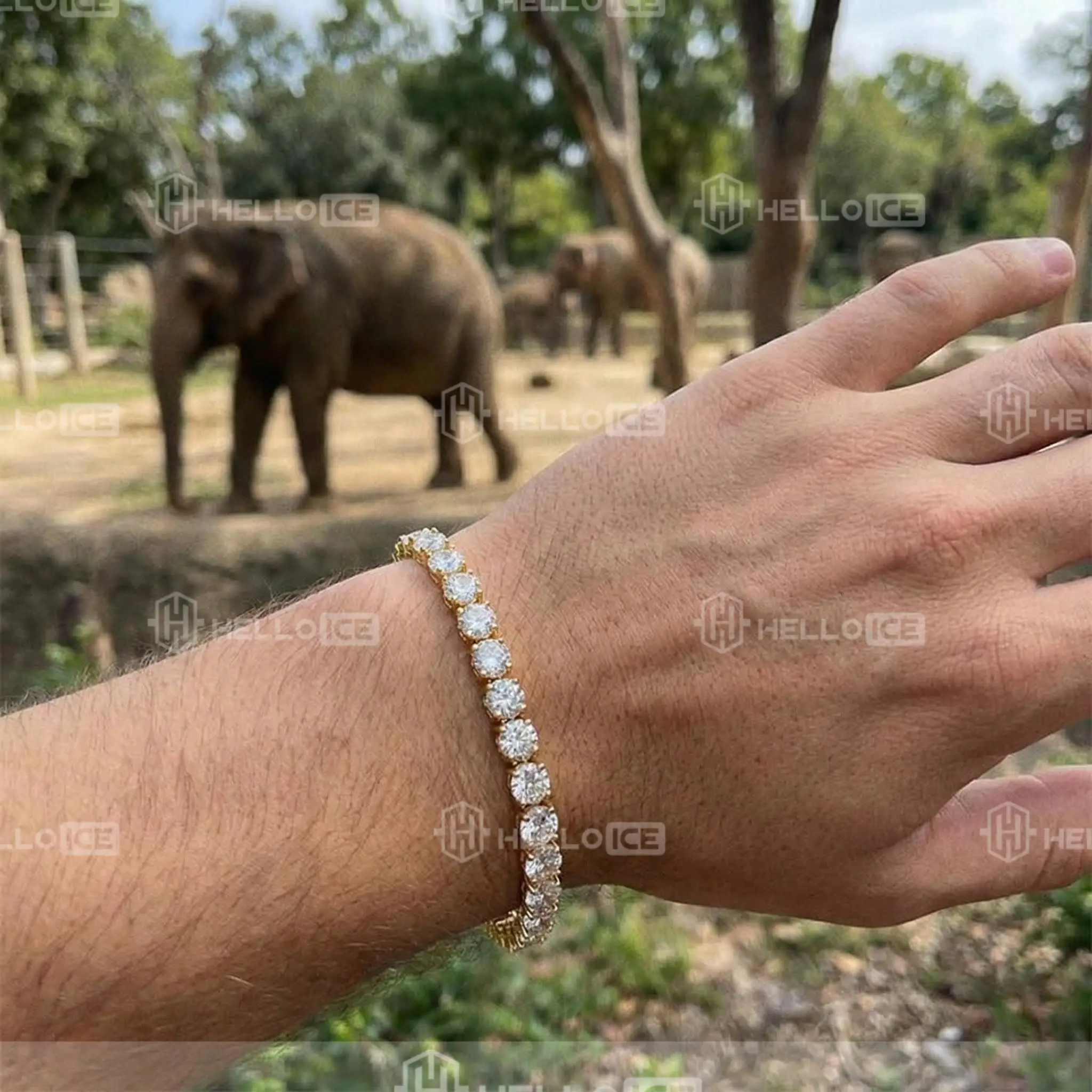 Helloice Review Image