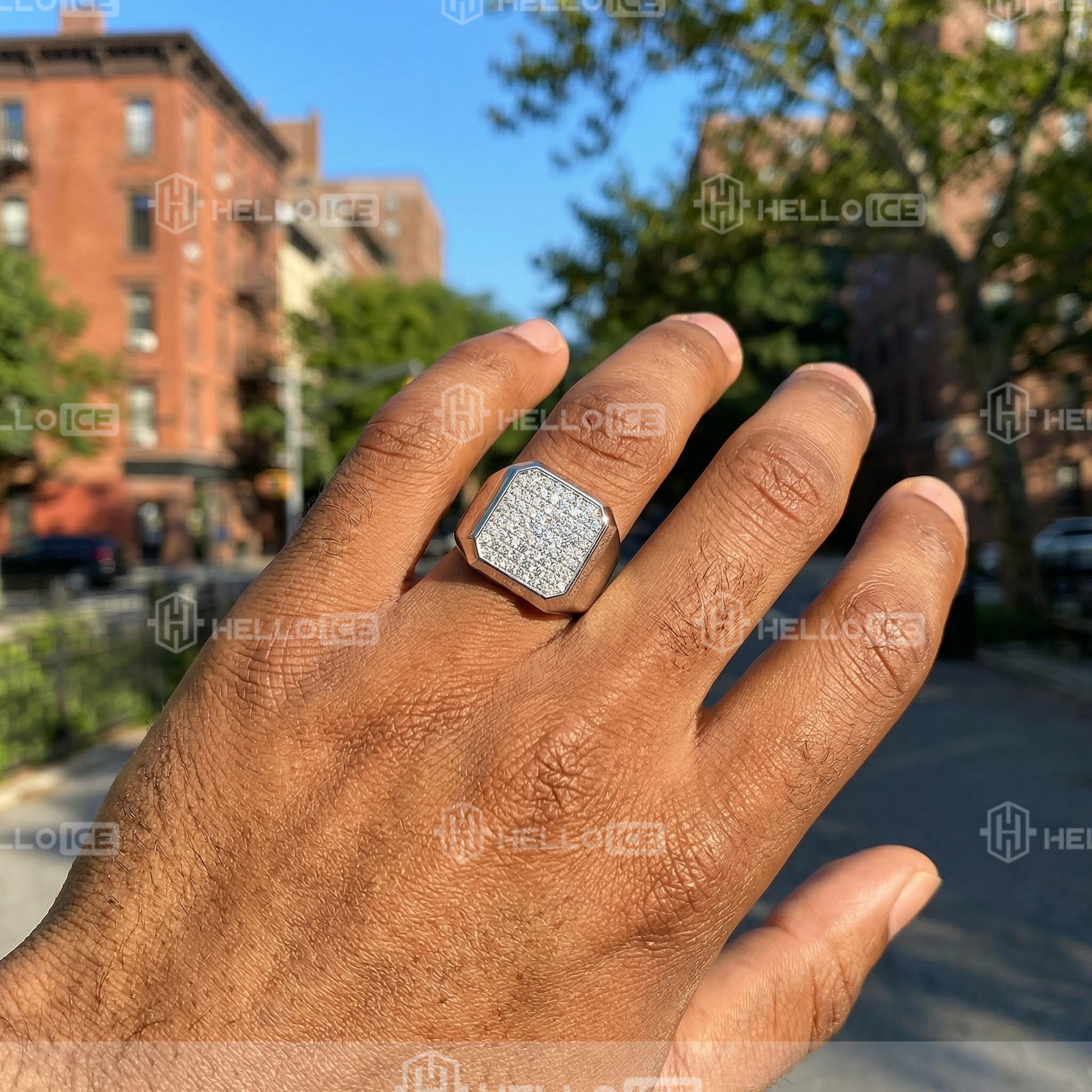 Helloice Review Image