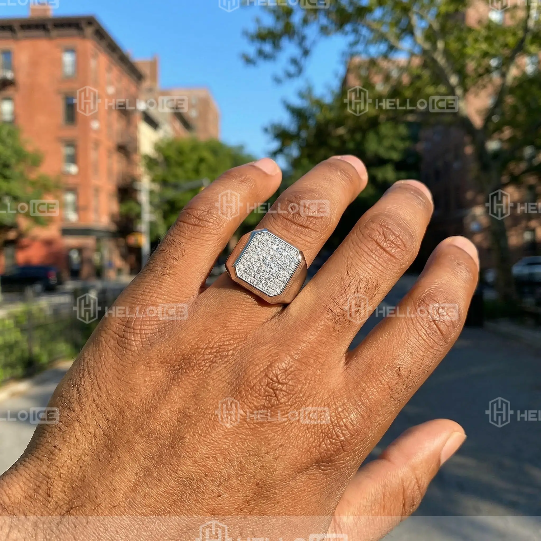 Helloice Review Image