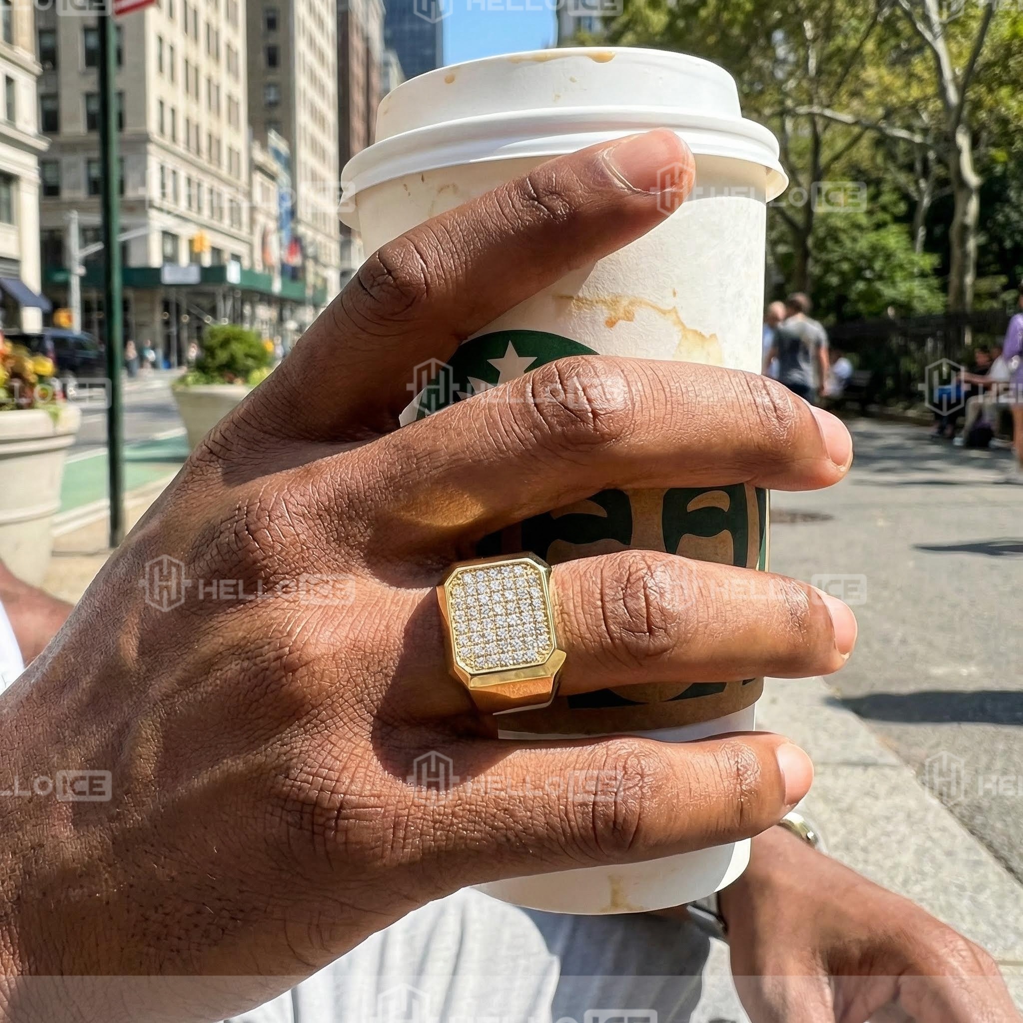 Helloice Review Image