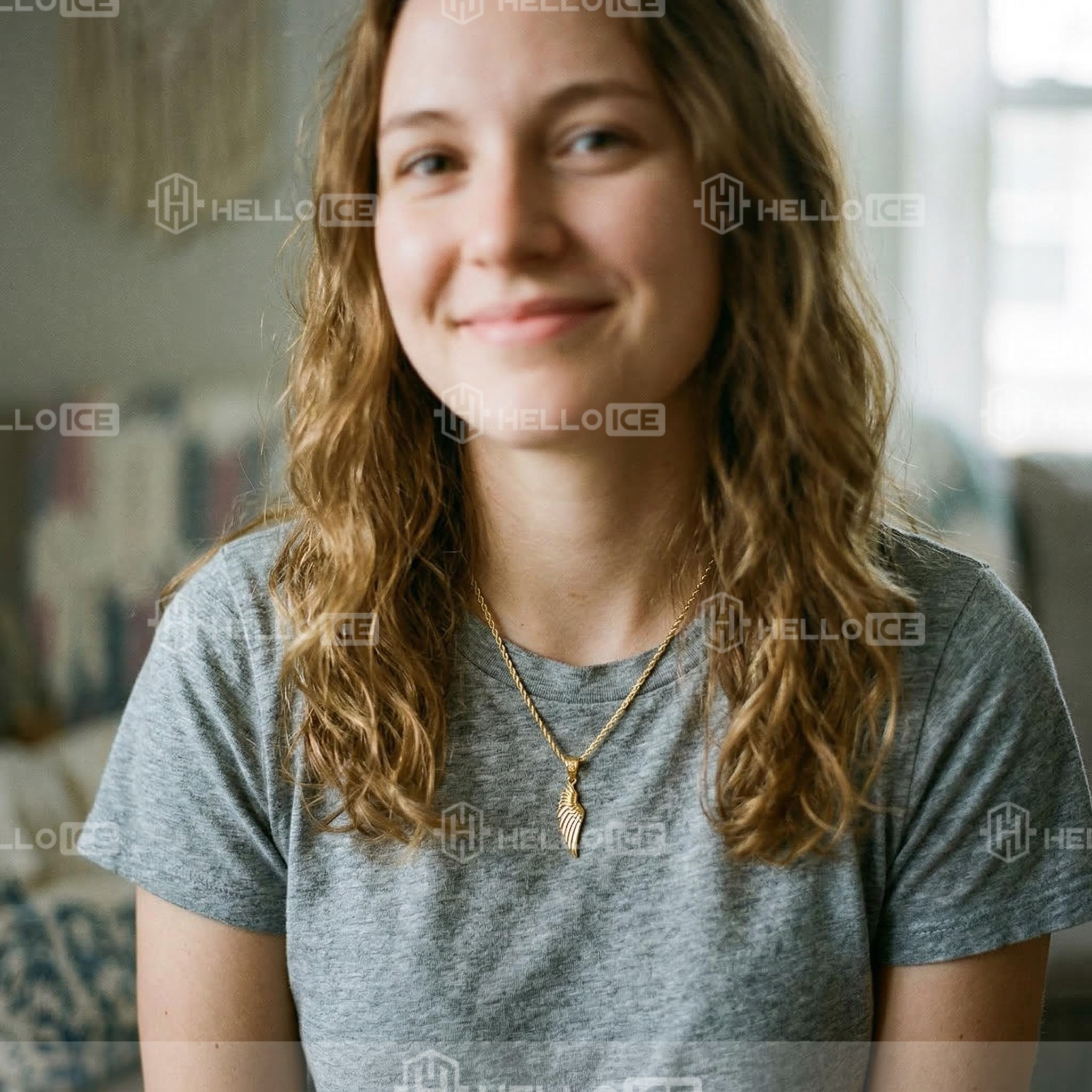 Helloice Review Image