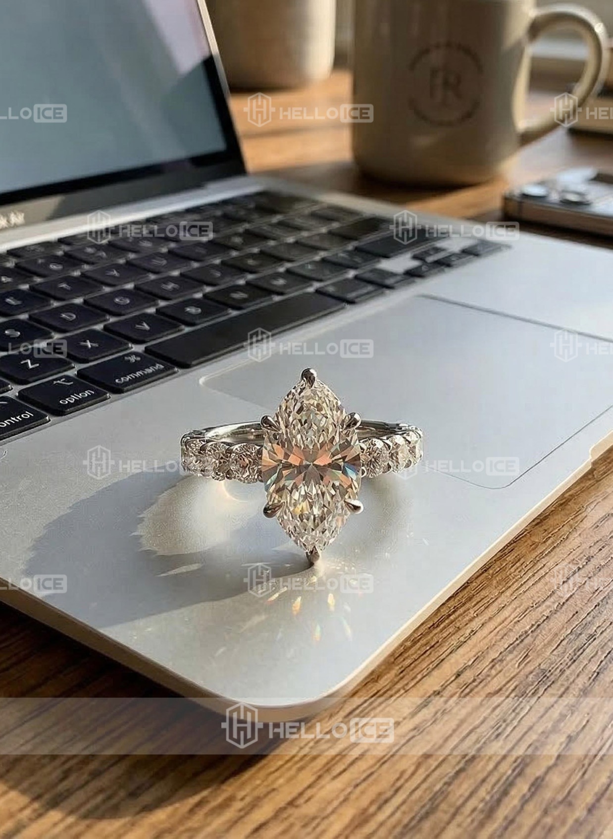 Helloice Review Image