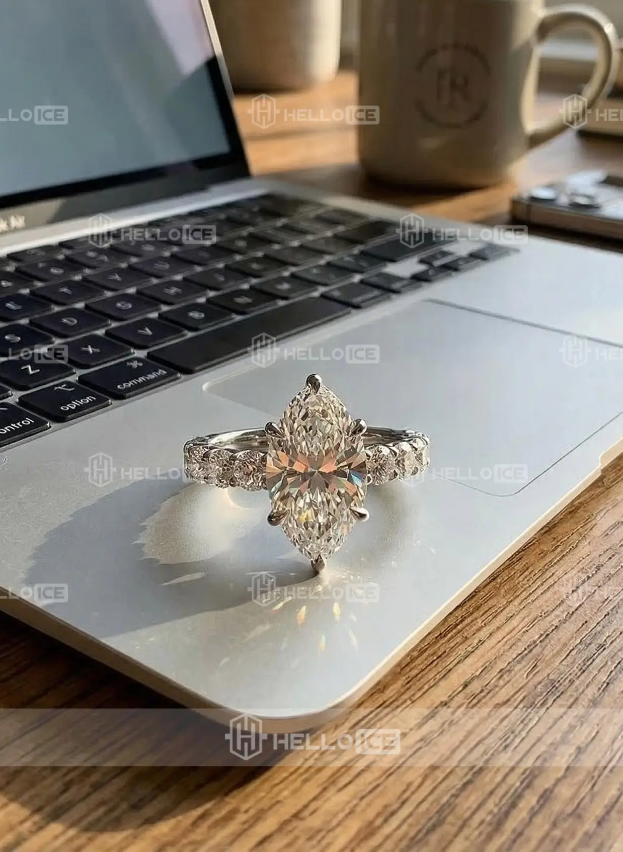 Helloice Review Image