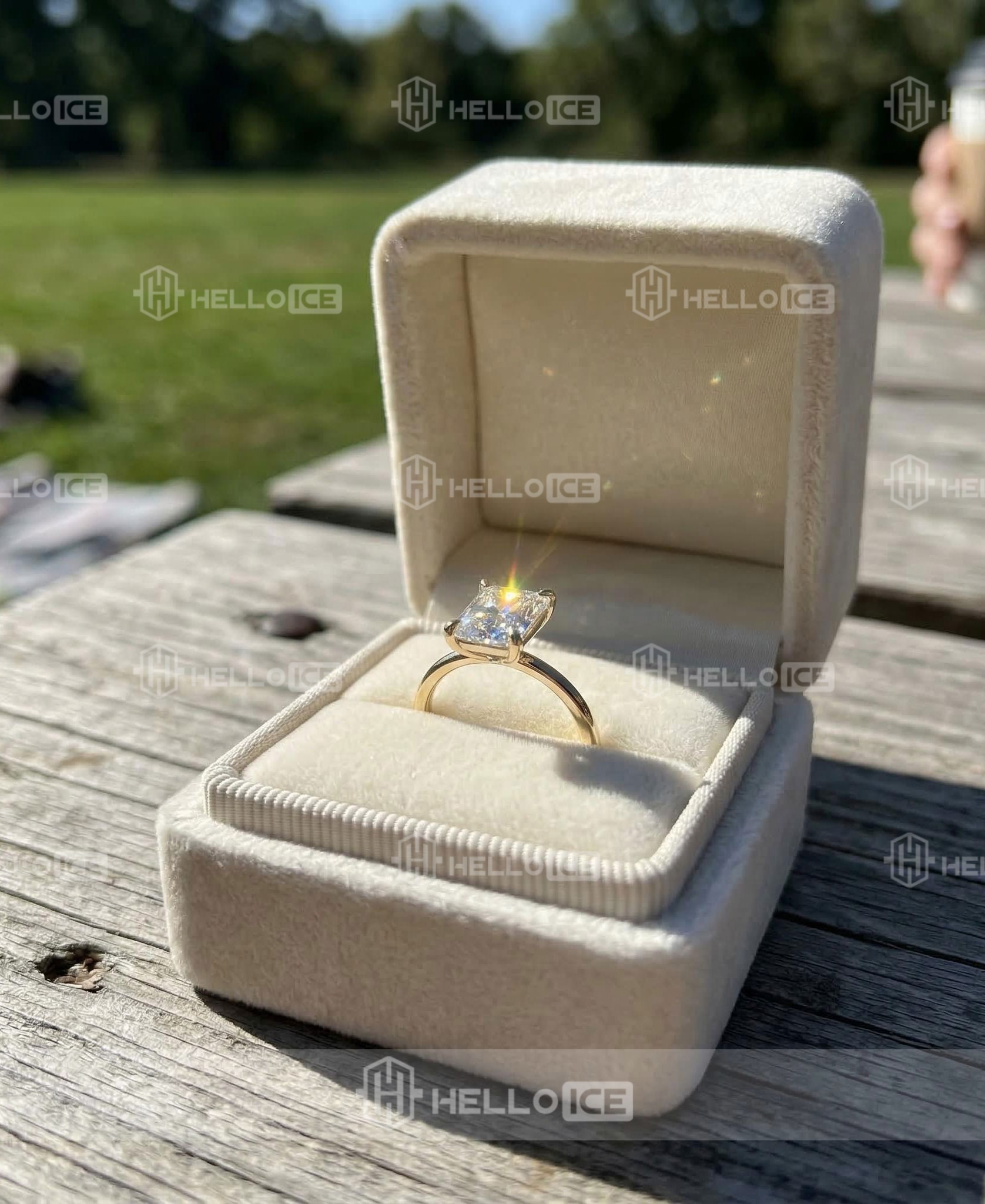 Helloice Review Image