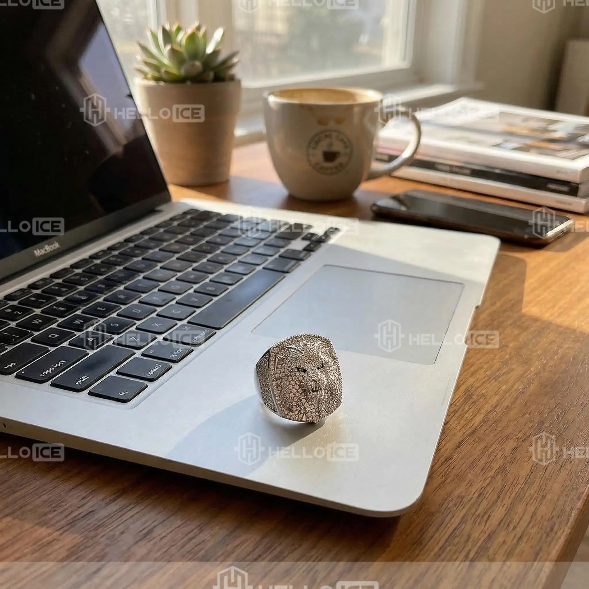 Helloice Review Image