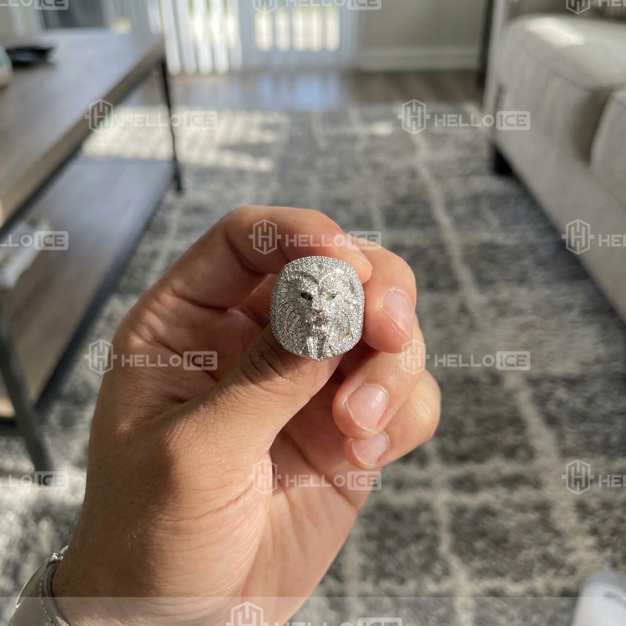 Helloice Review Image