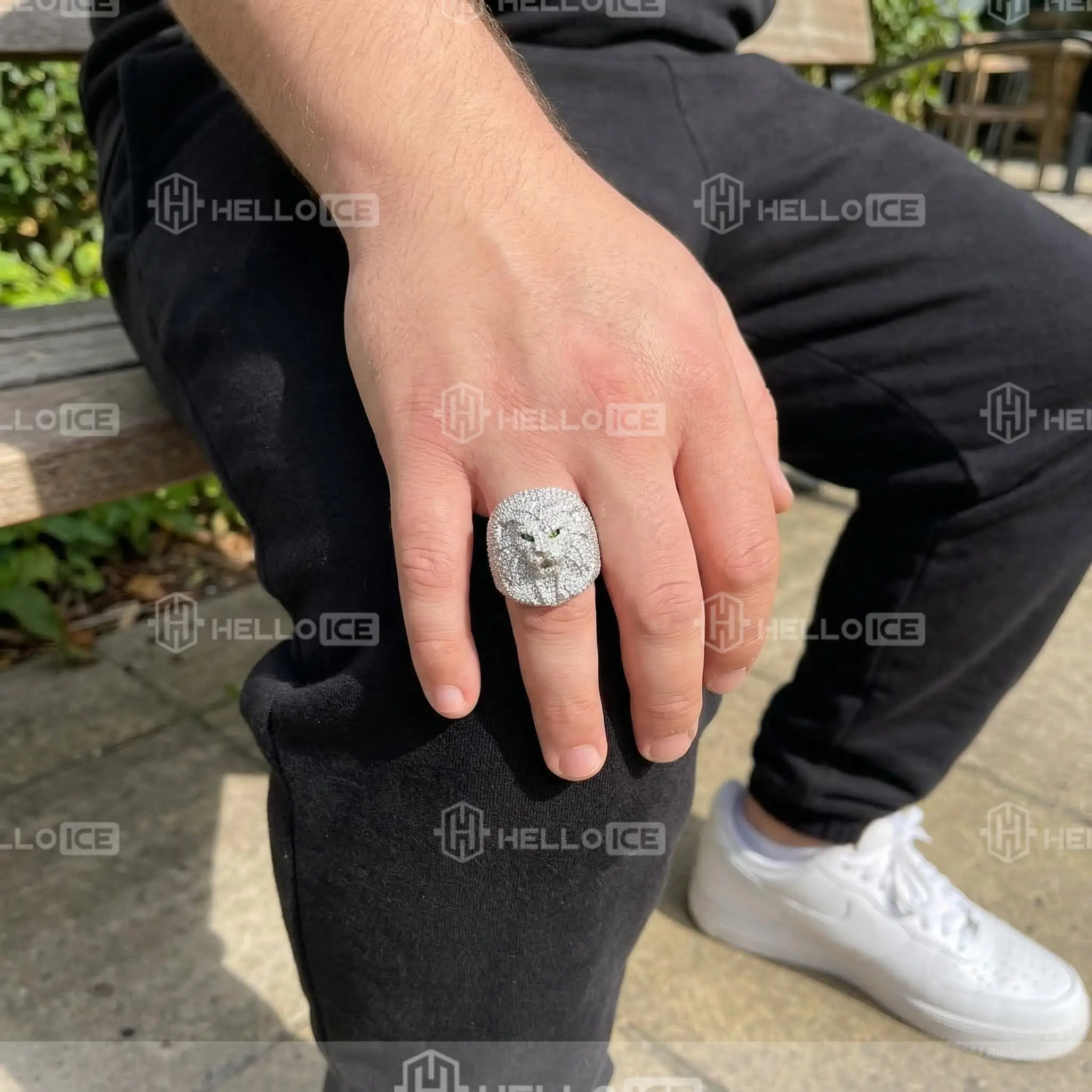 Helloice Review Image