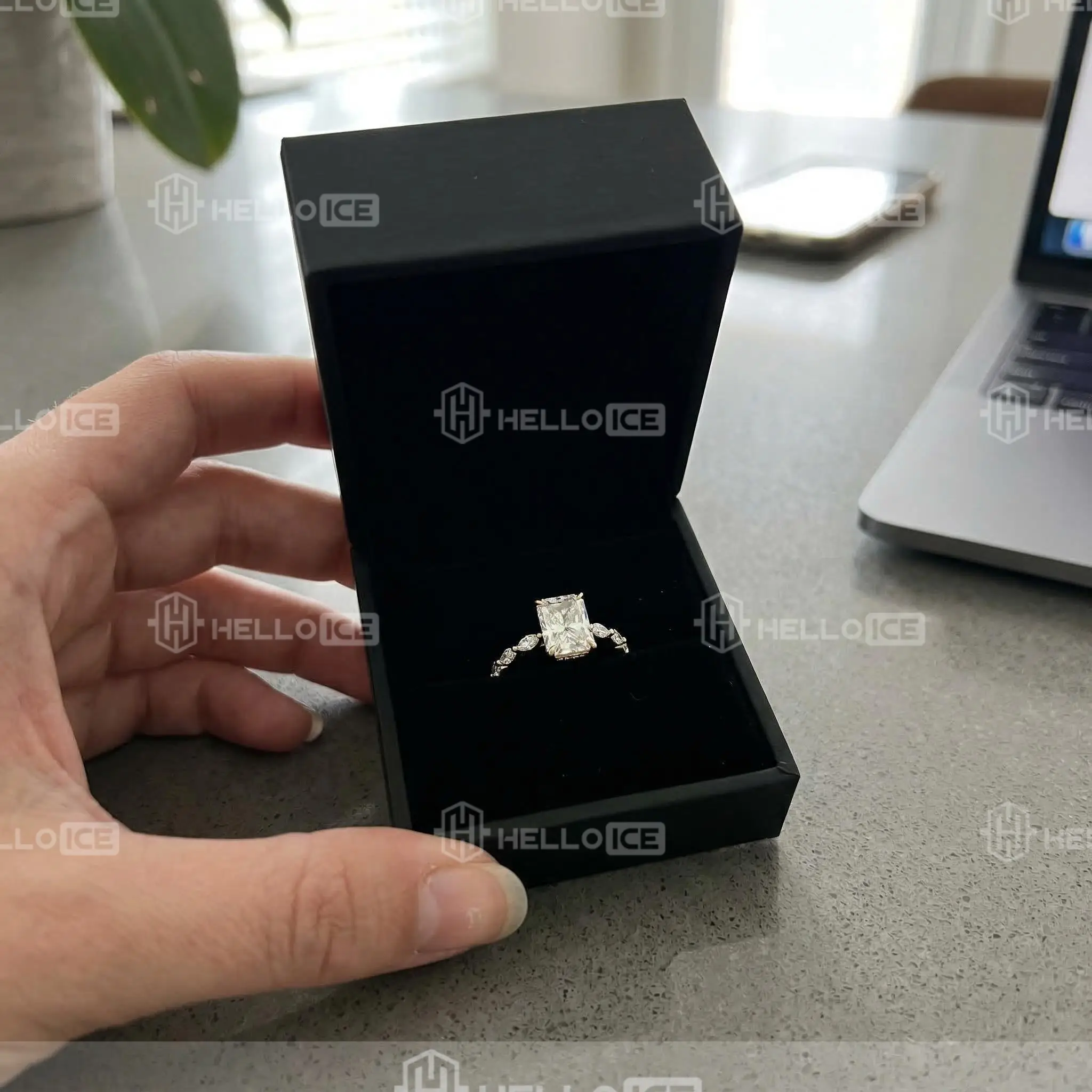 Helloice Review Image