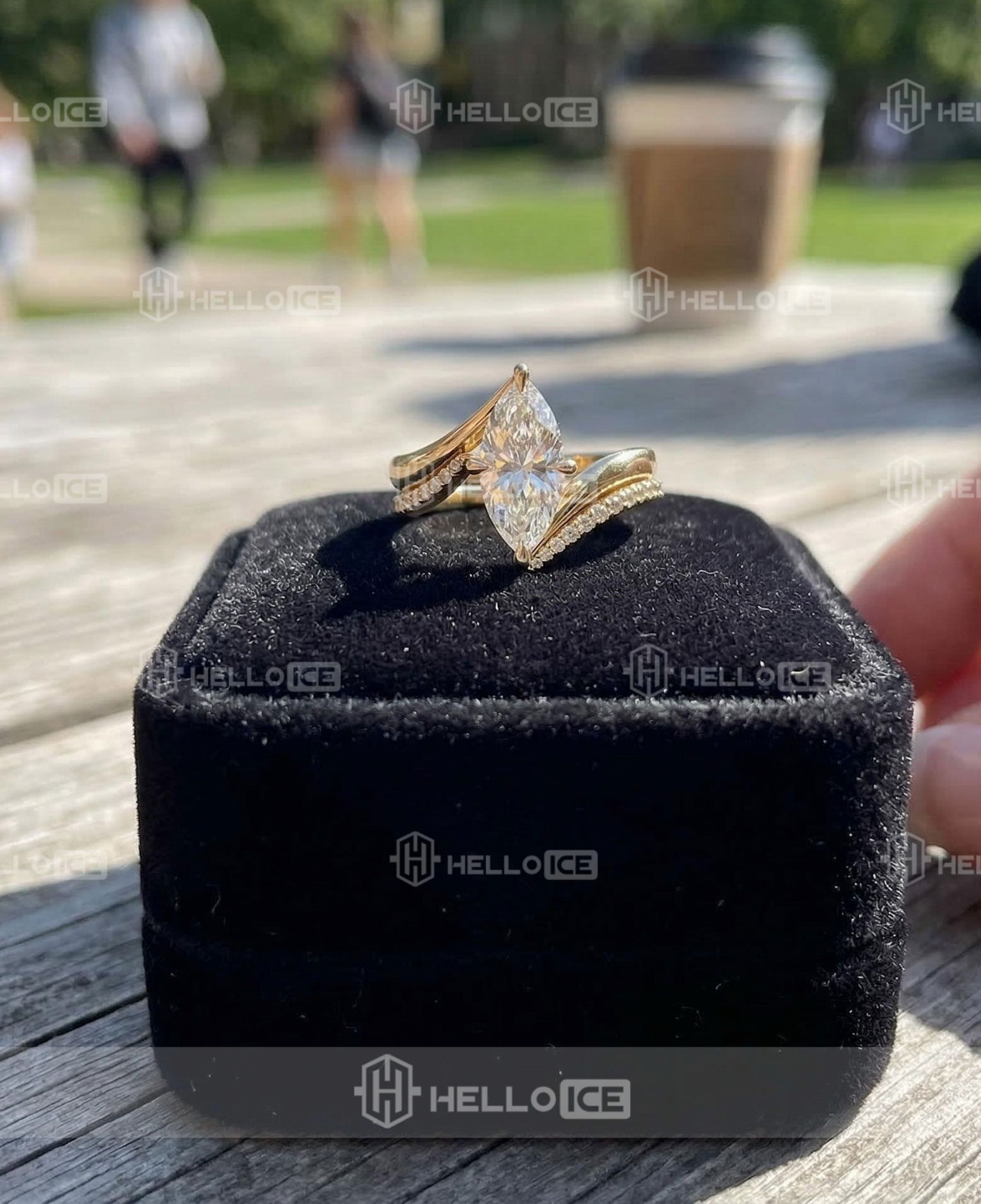 Helloice Review Image