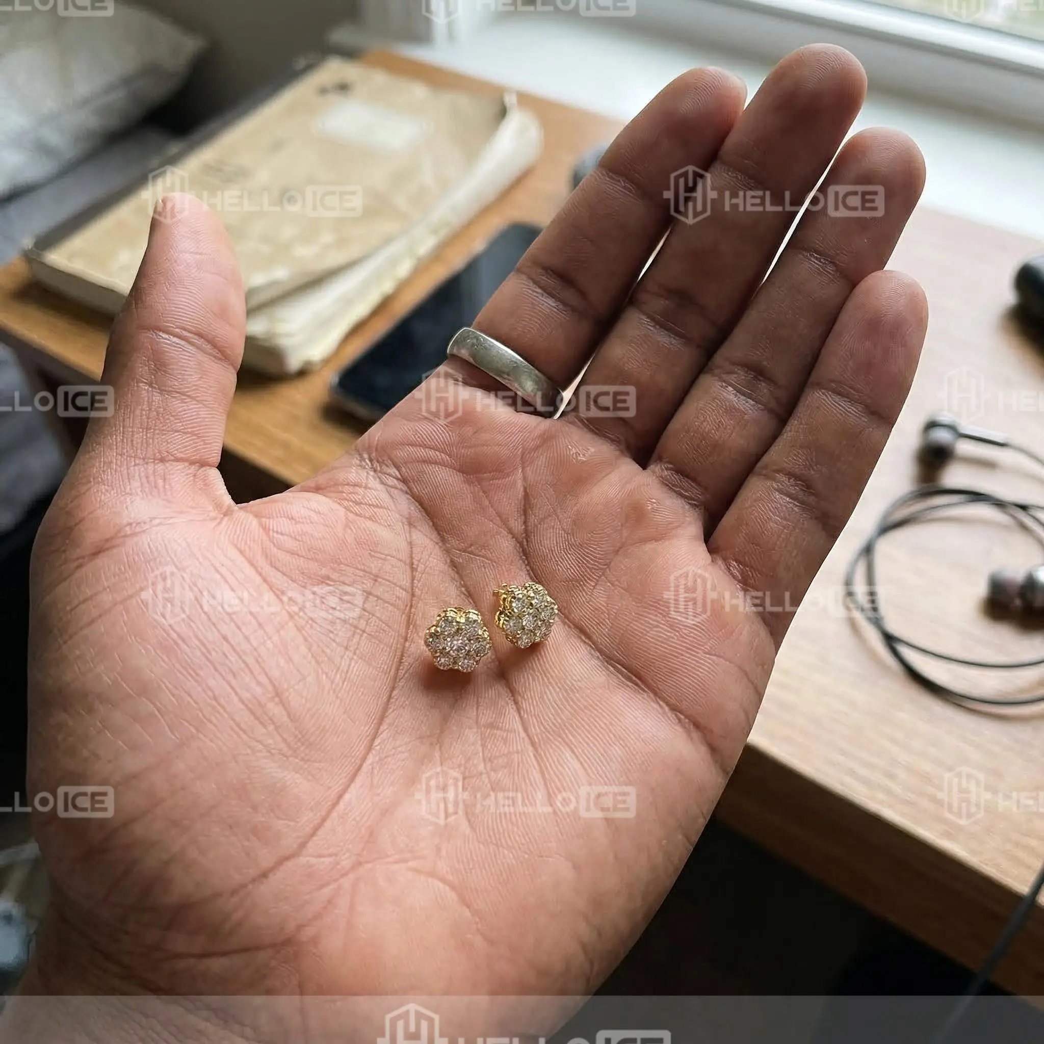 Helloice Review Image