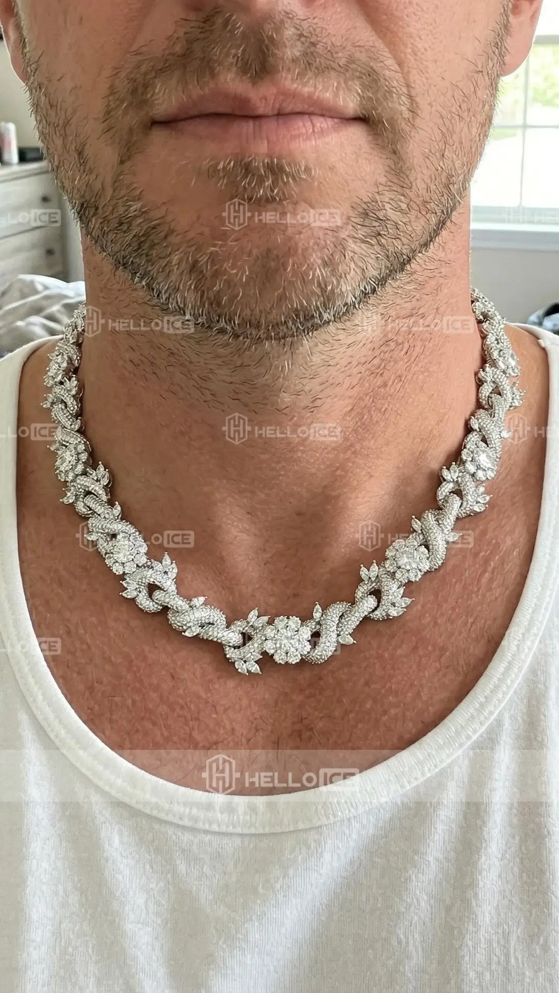 Helloice Review Image