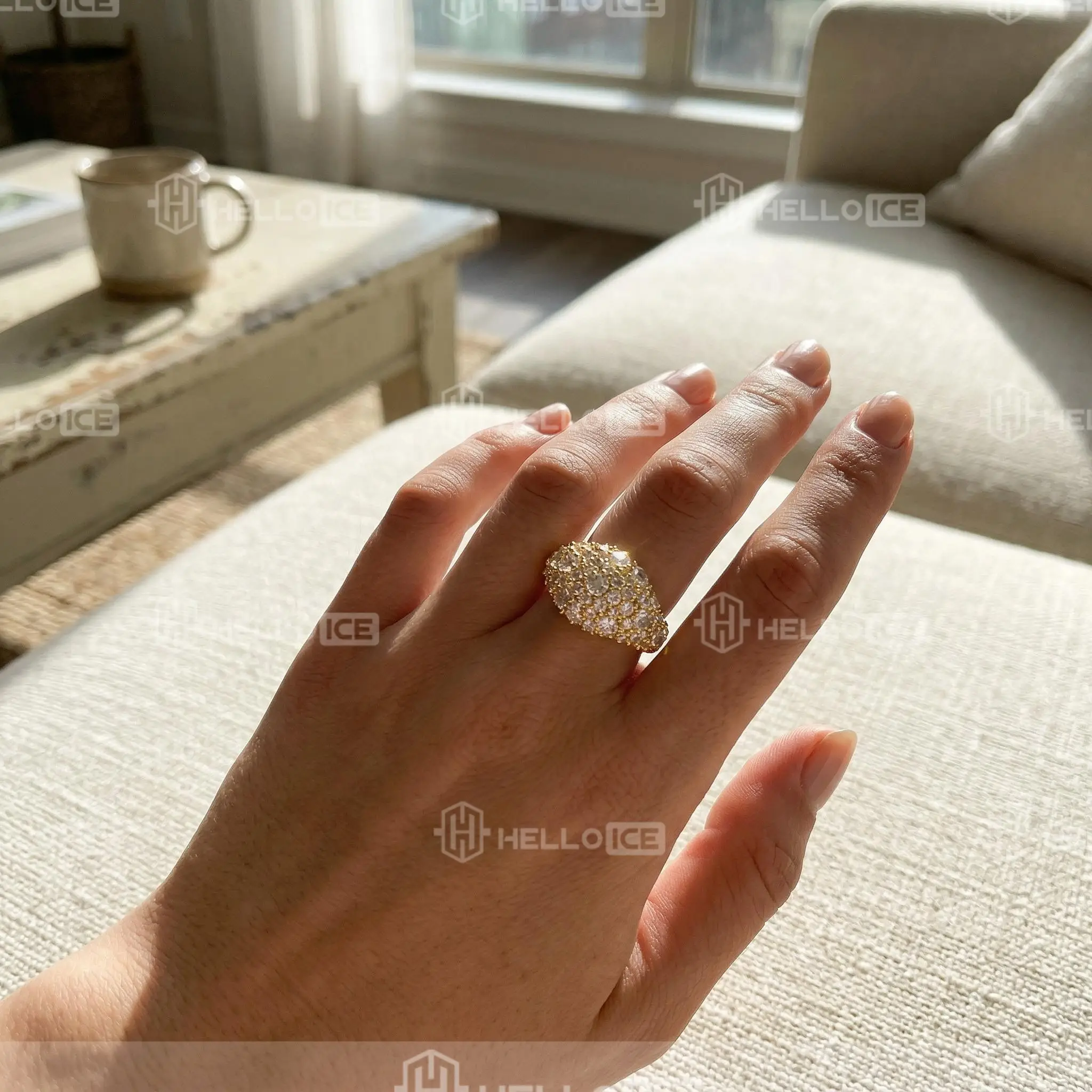 Helloice Review Image