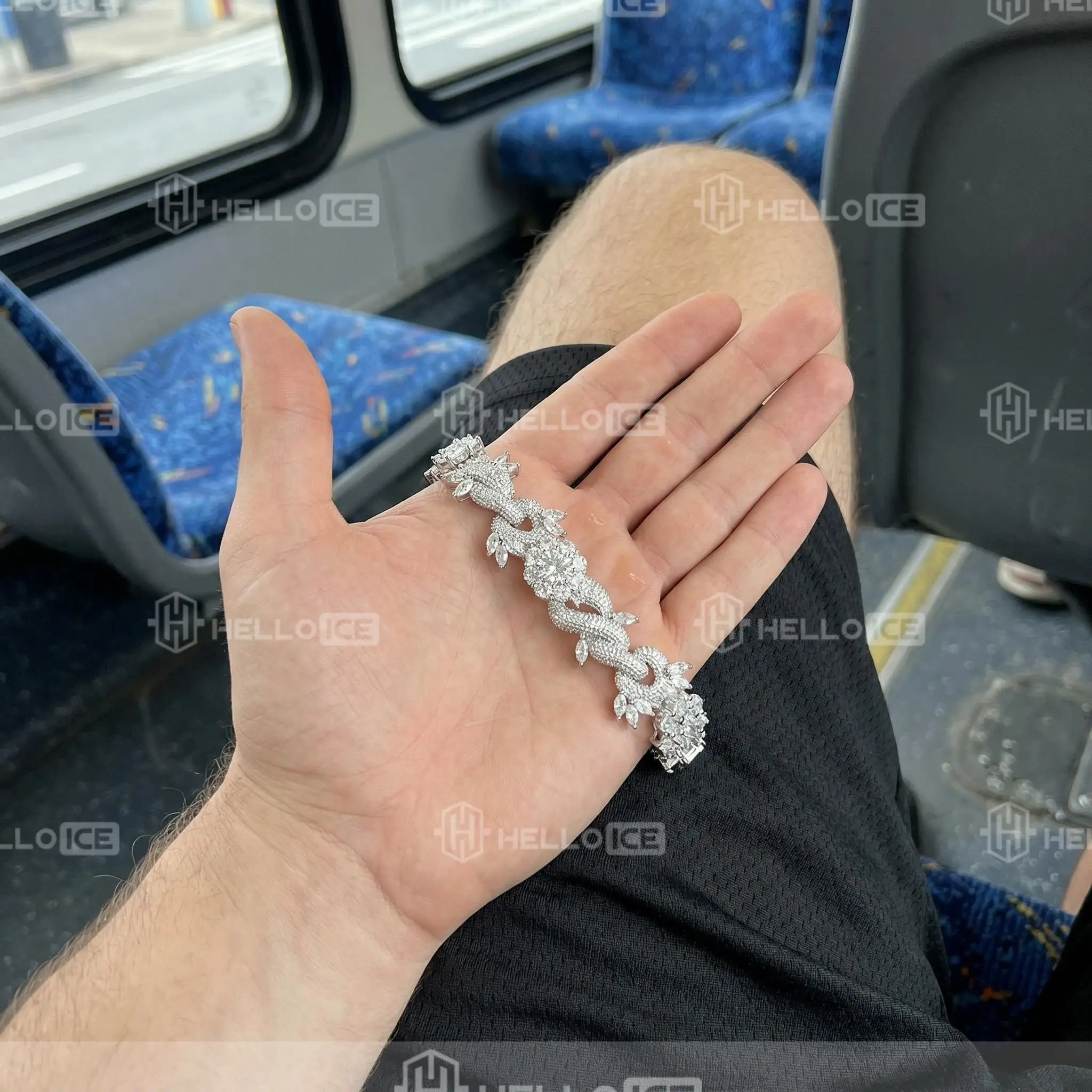 Helloice Review Image