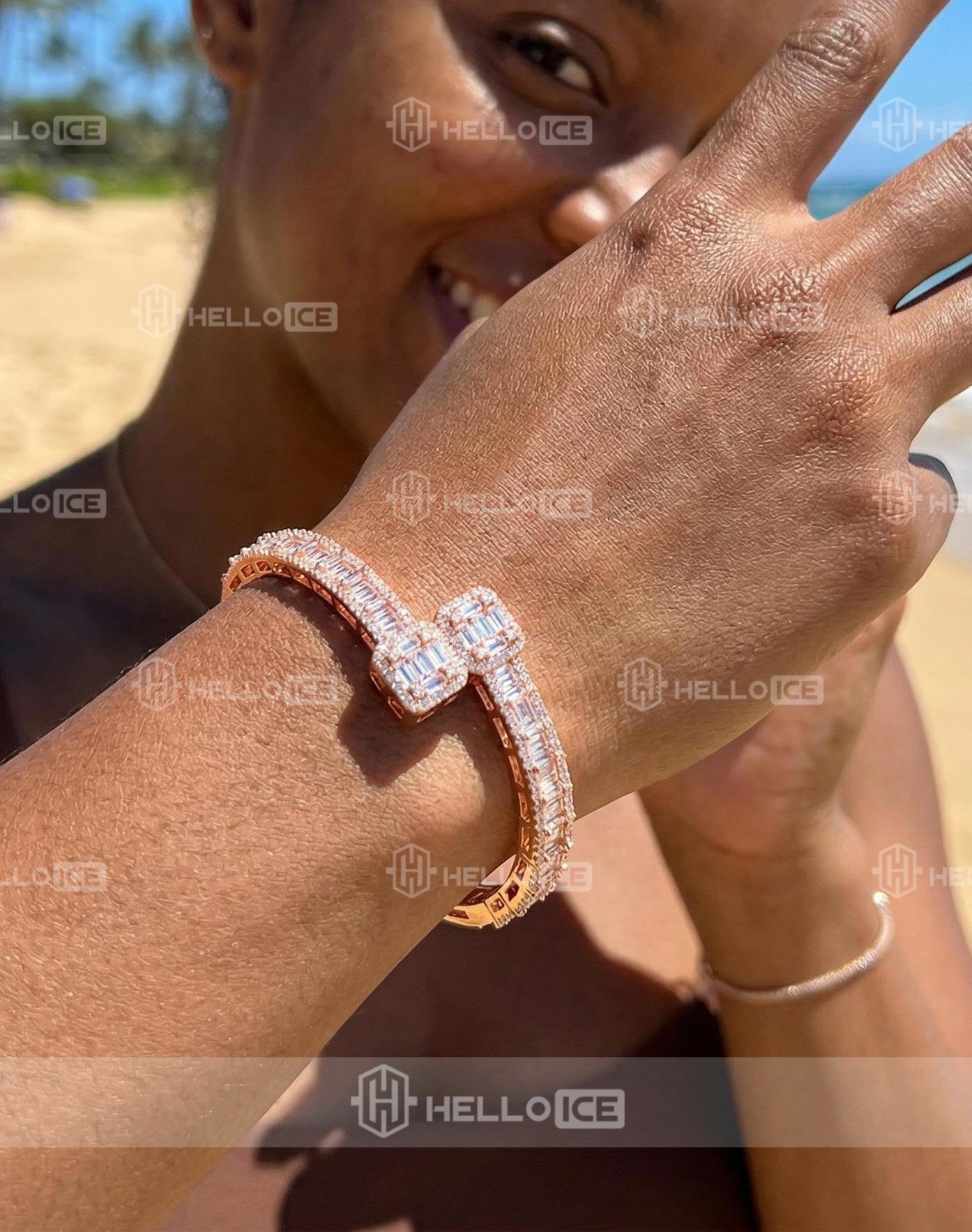 Helloice Review Image