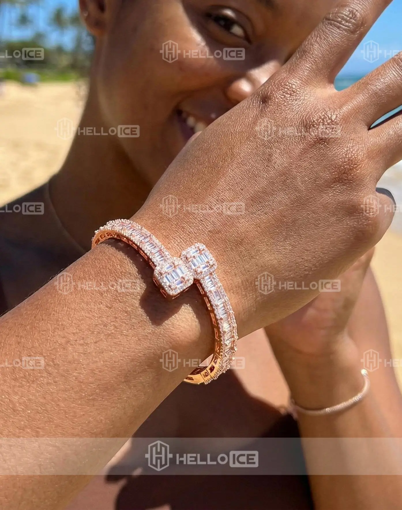 Helloice Review Image