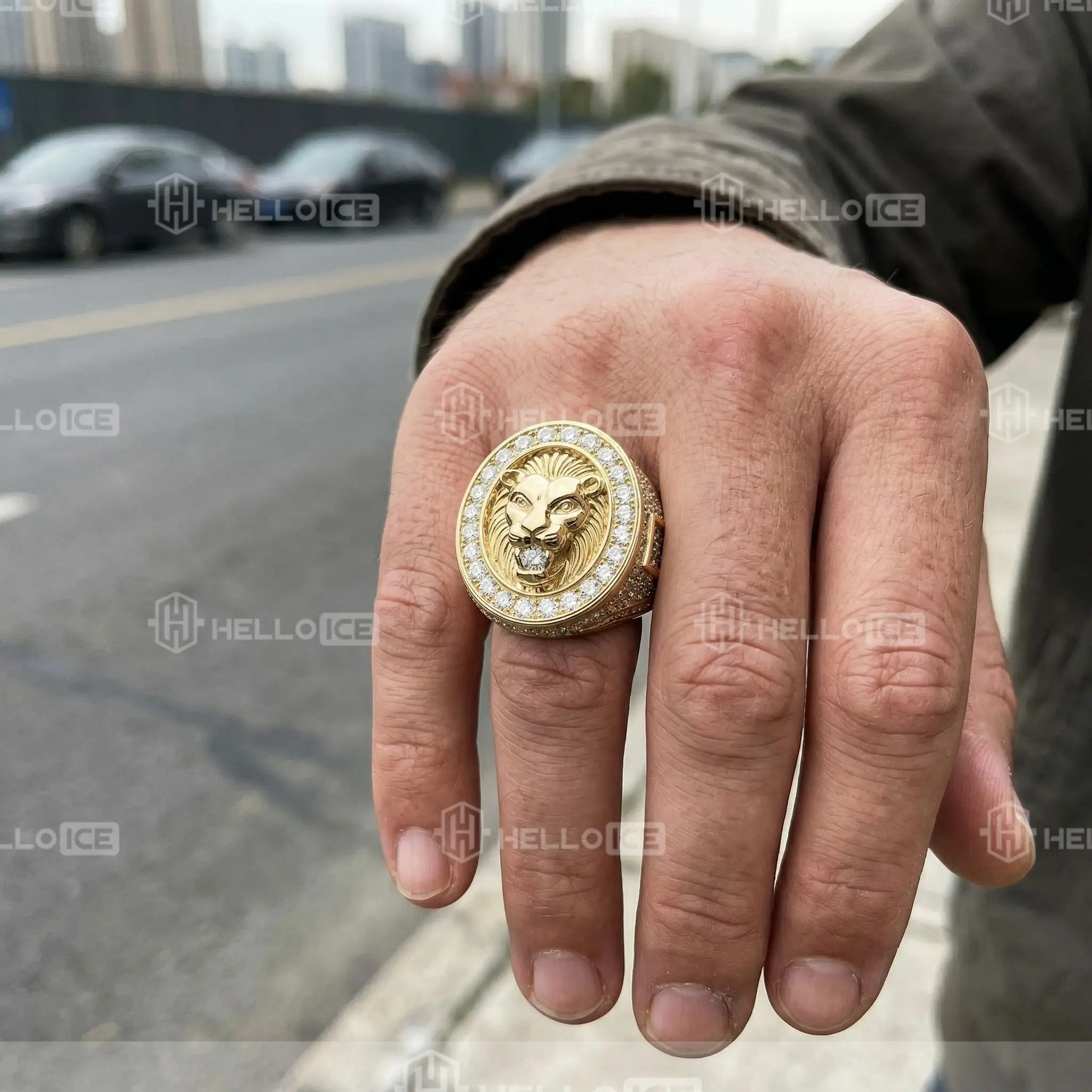 Helloice Review Image