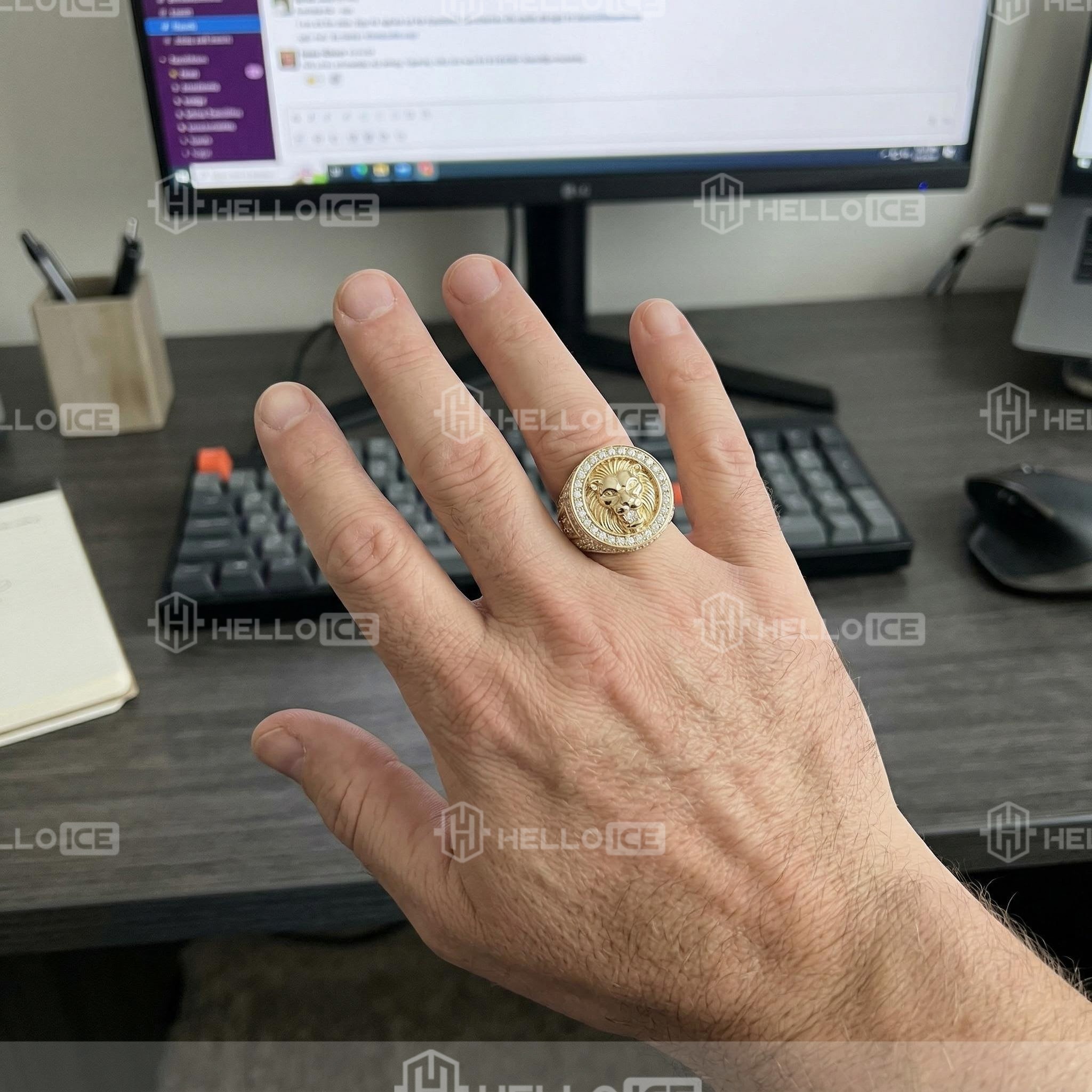 Helloice Review Image