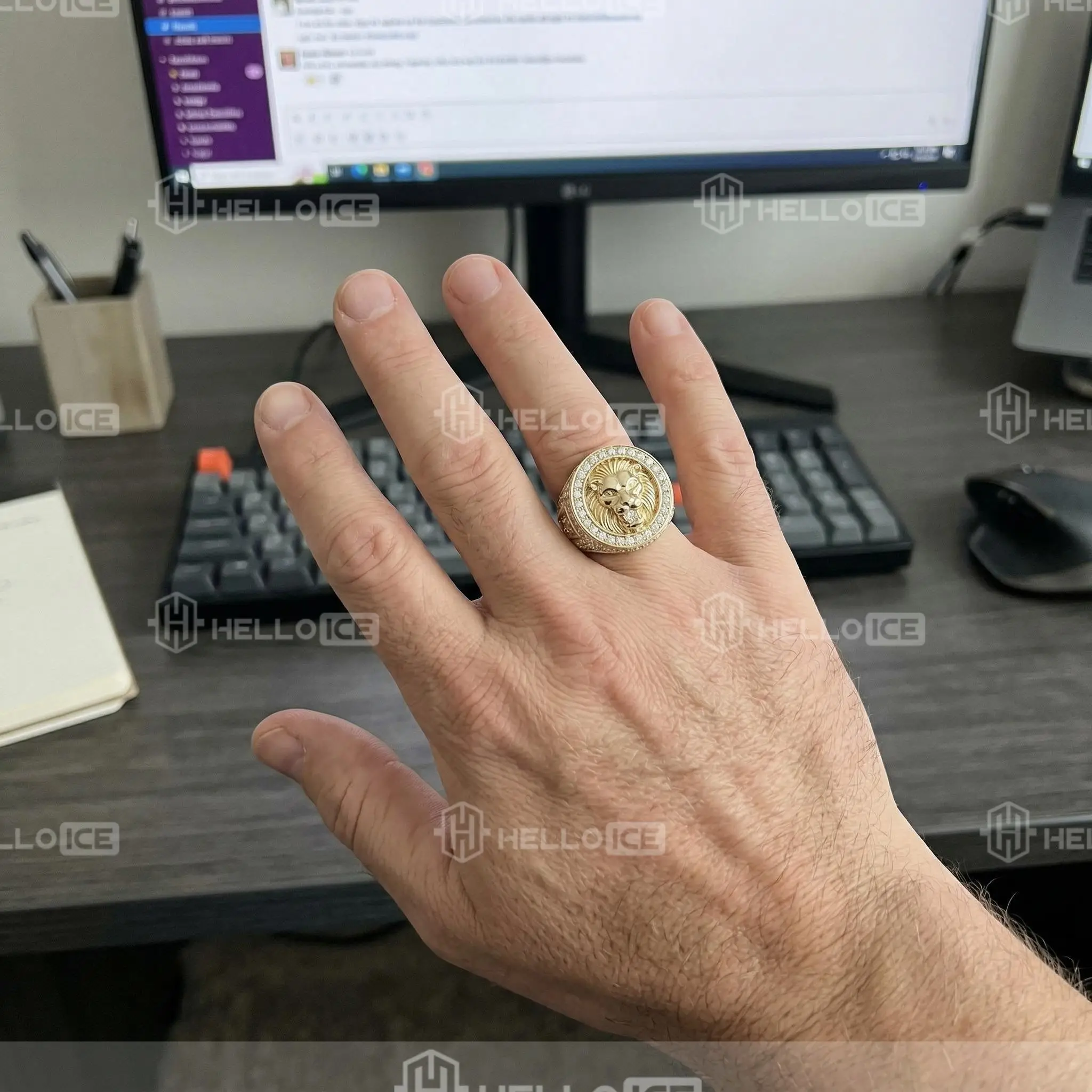 Helloice Review Image