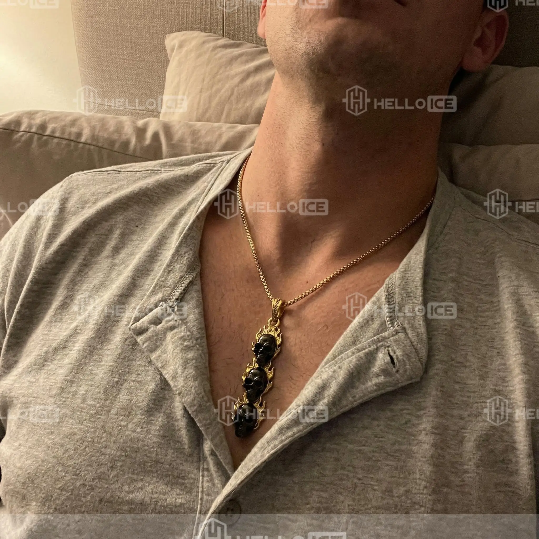 Helloice Review Image