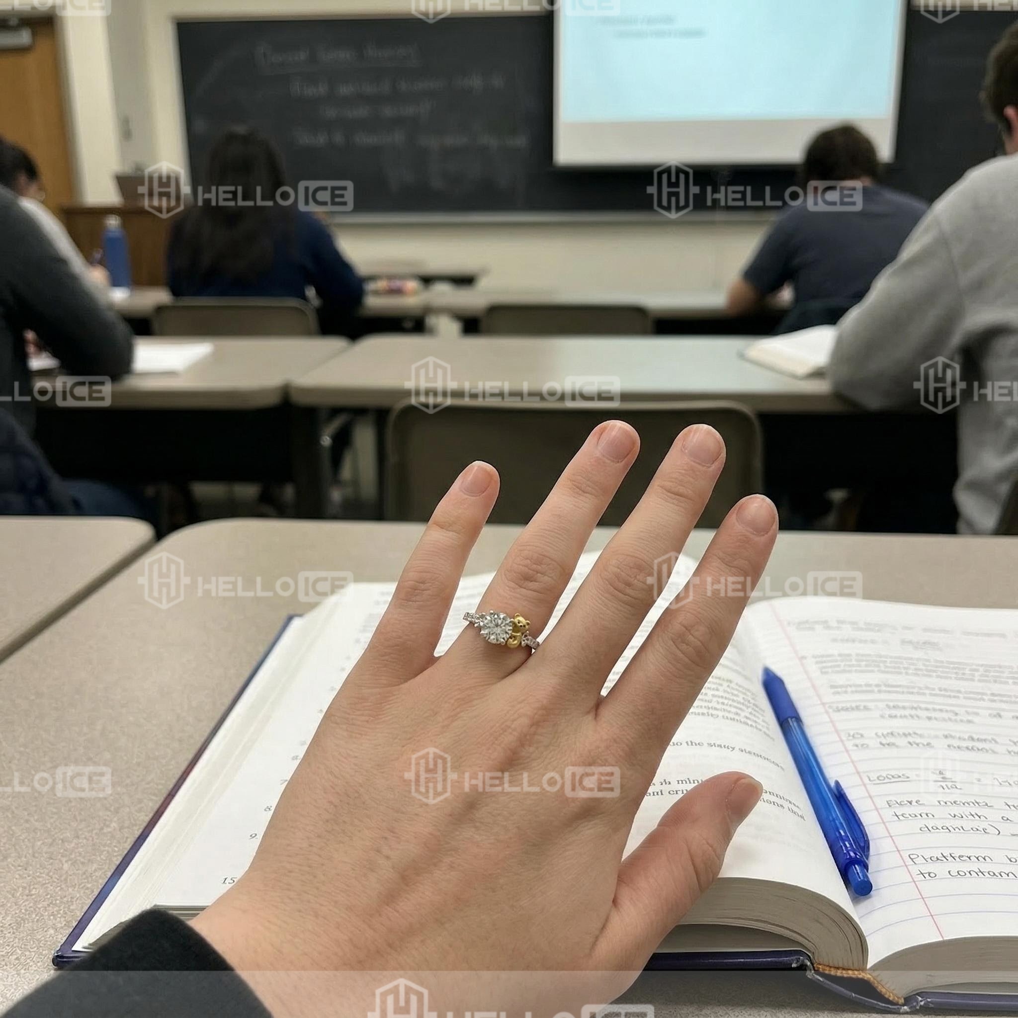 Helloice Review Image