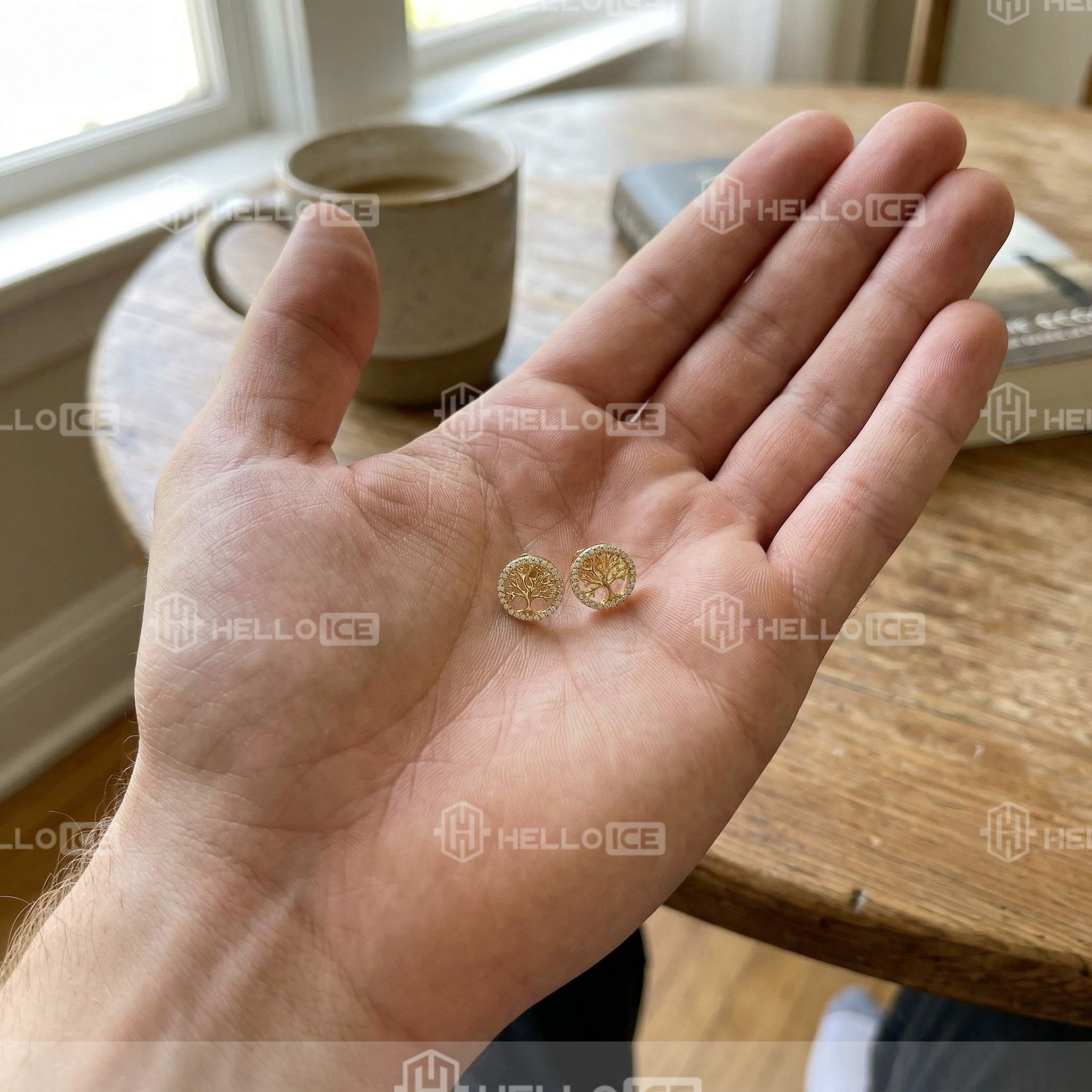 Helloice Review Image