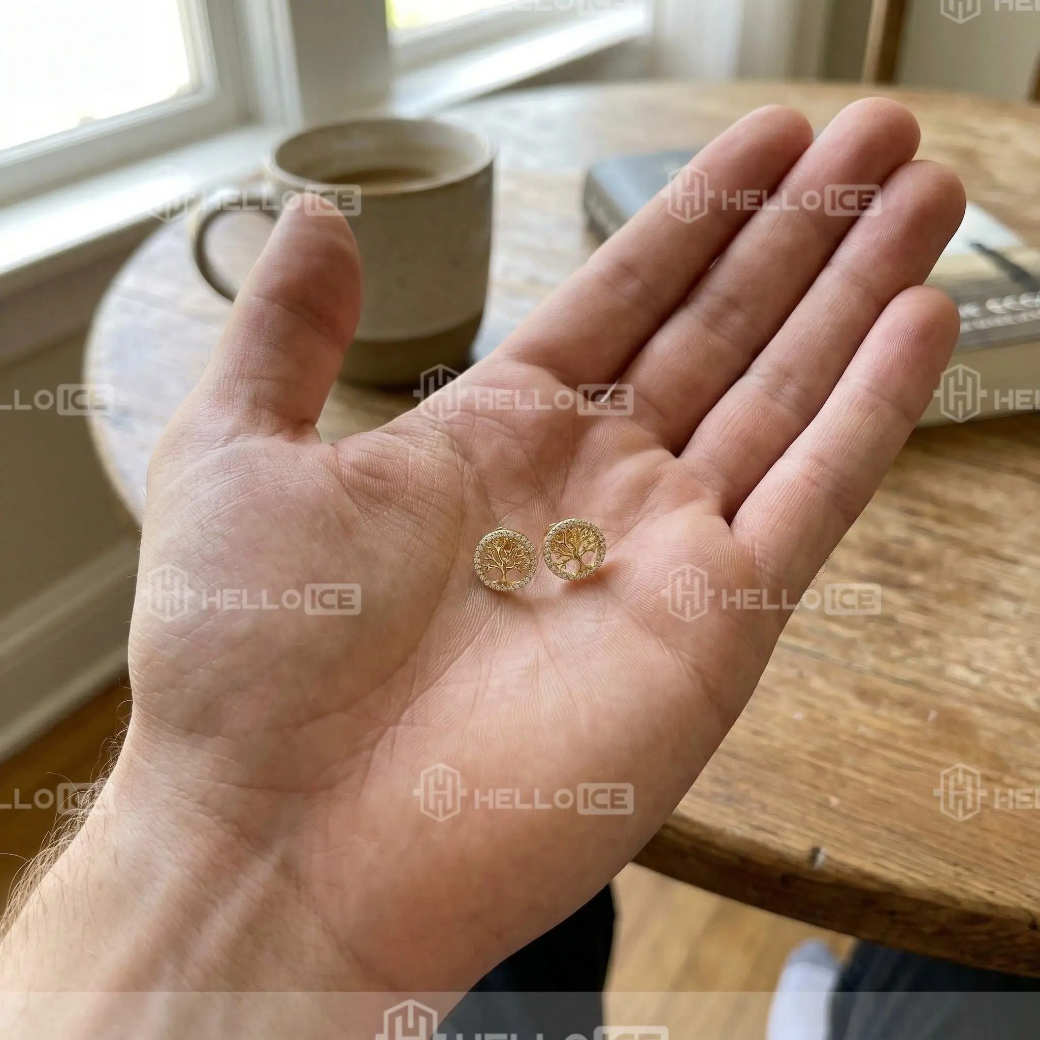 Helloice Review Image