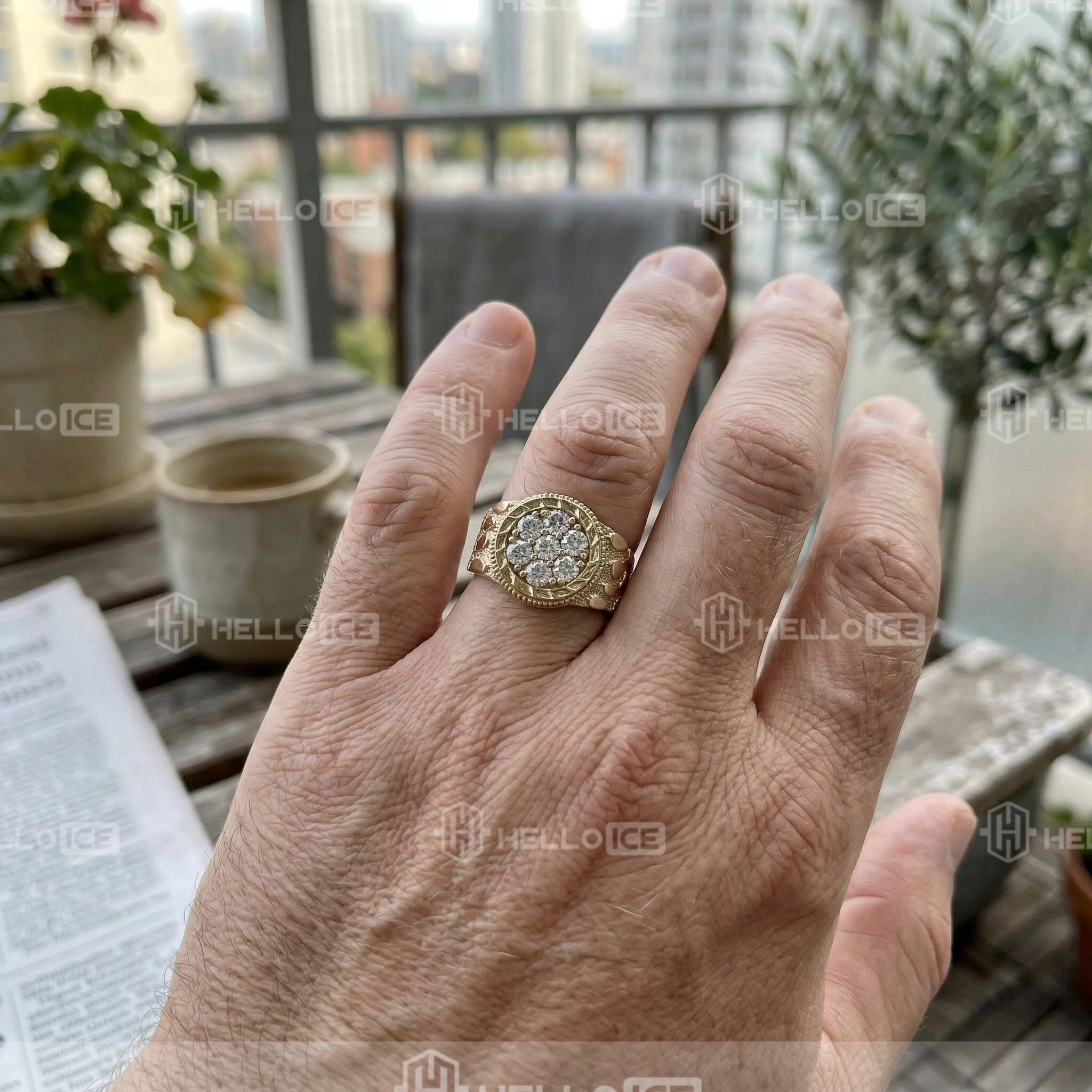 Helloice Review Image