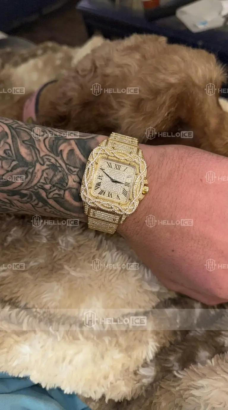 Helloice Review Image