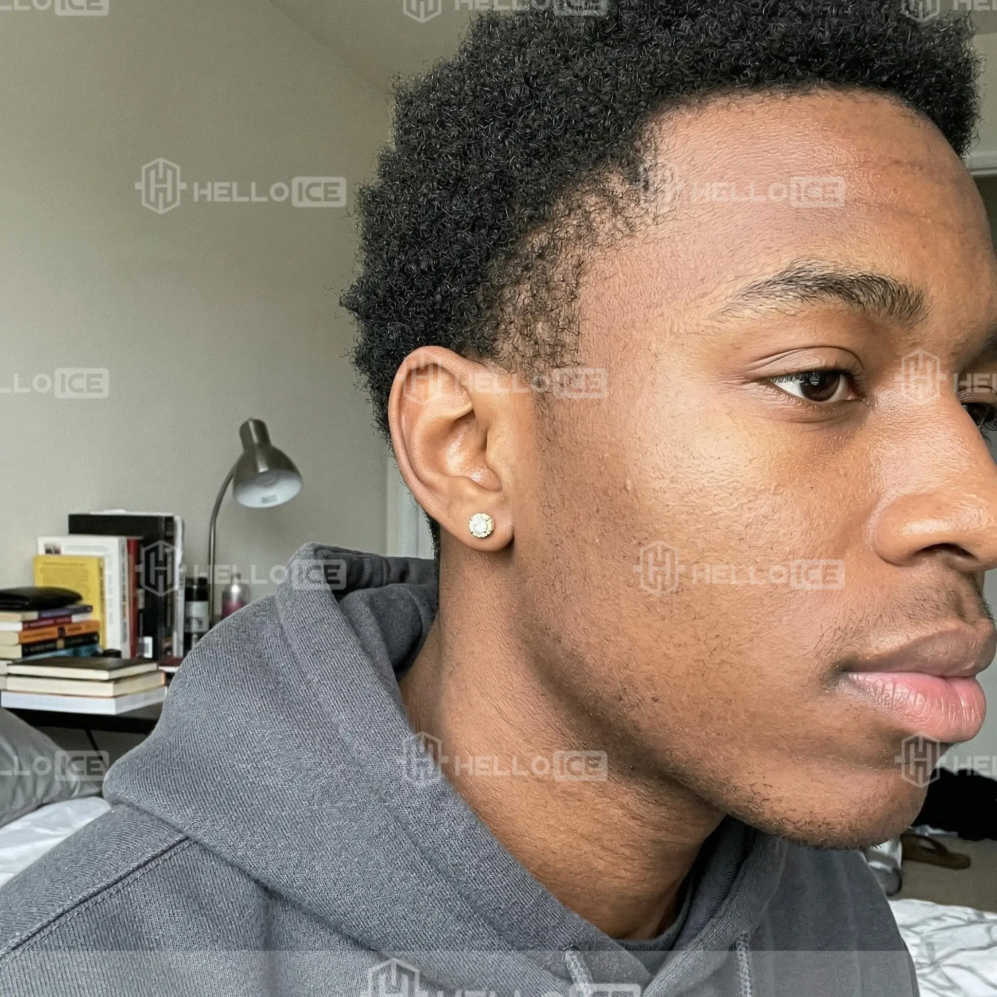 Helloice Review Image