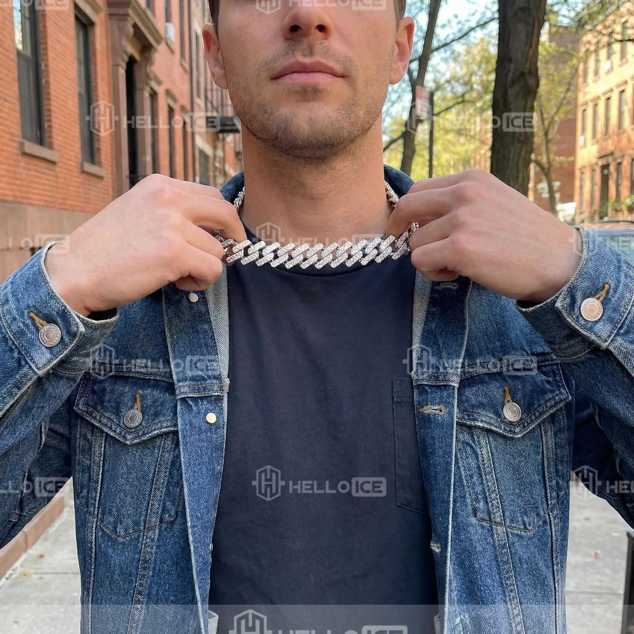 Helloice Review Image