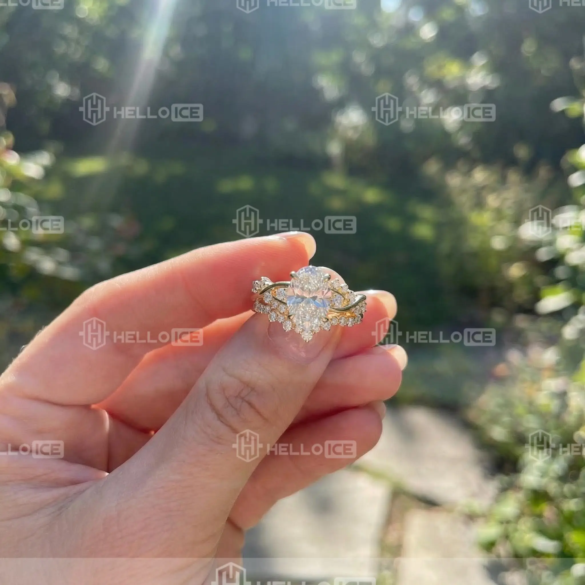 Helloice Review Image