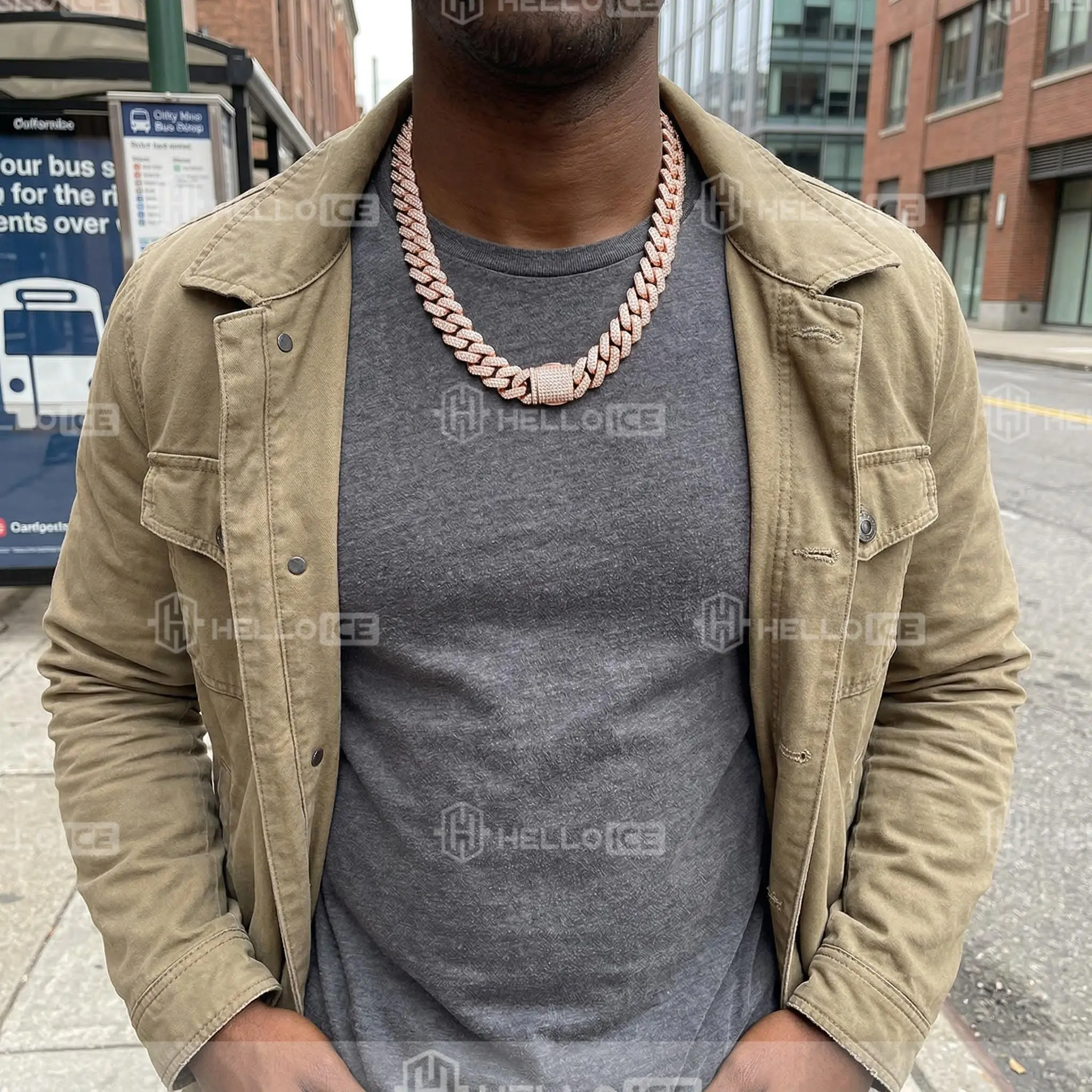 Helloice Review Image