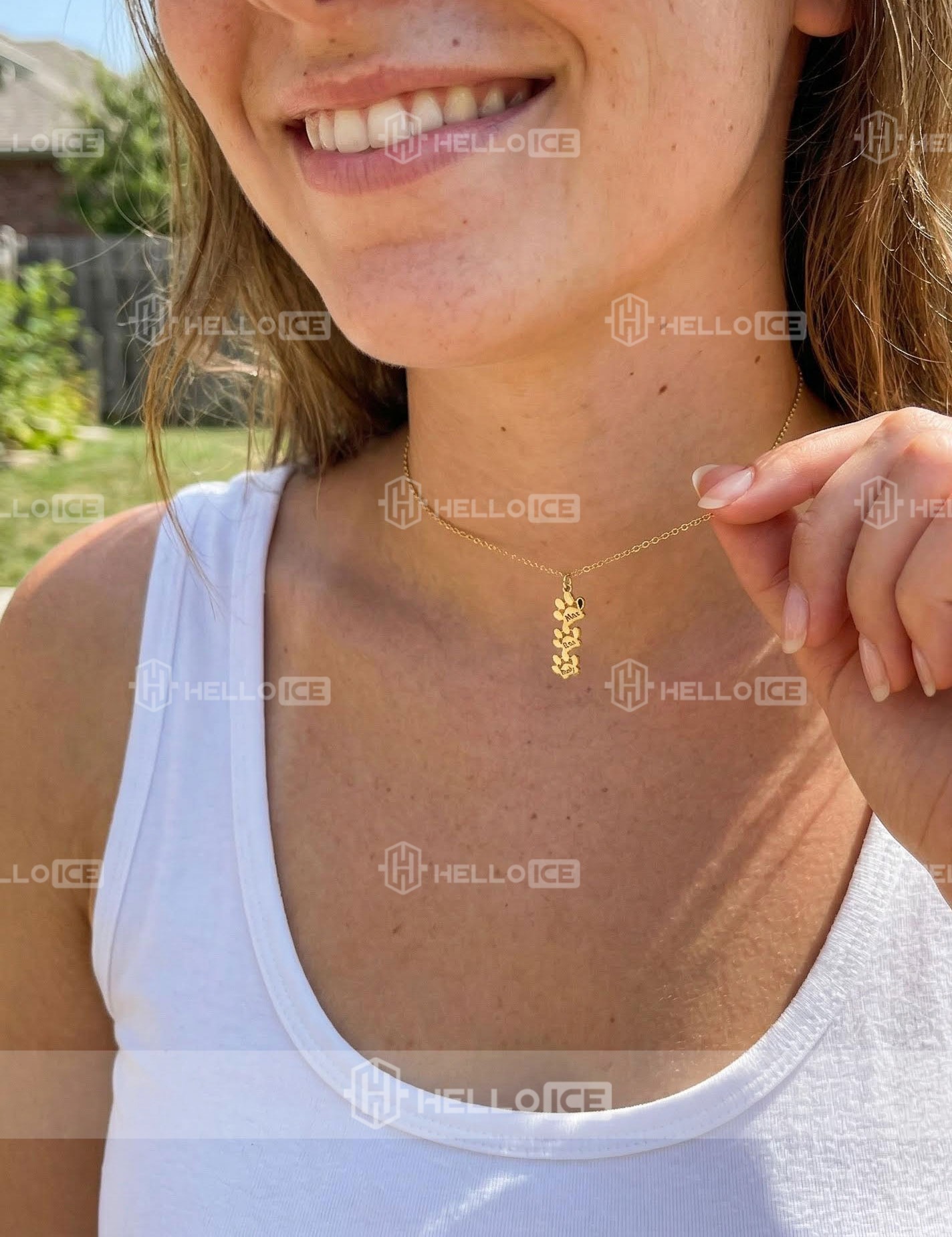 Helloice Review Image