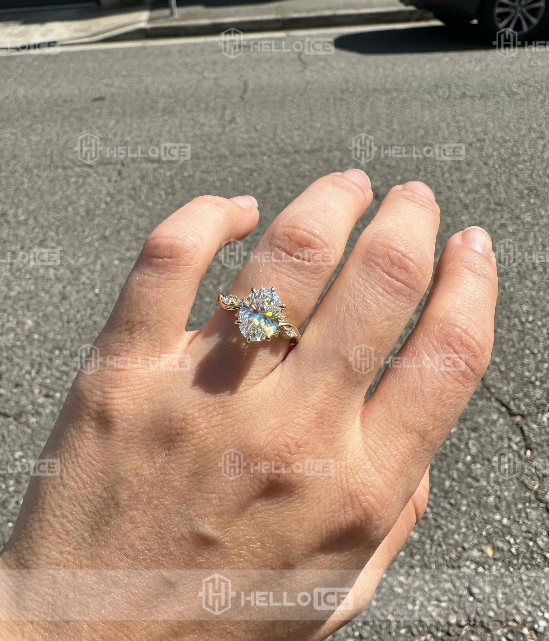 Helloice Review Image