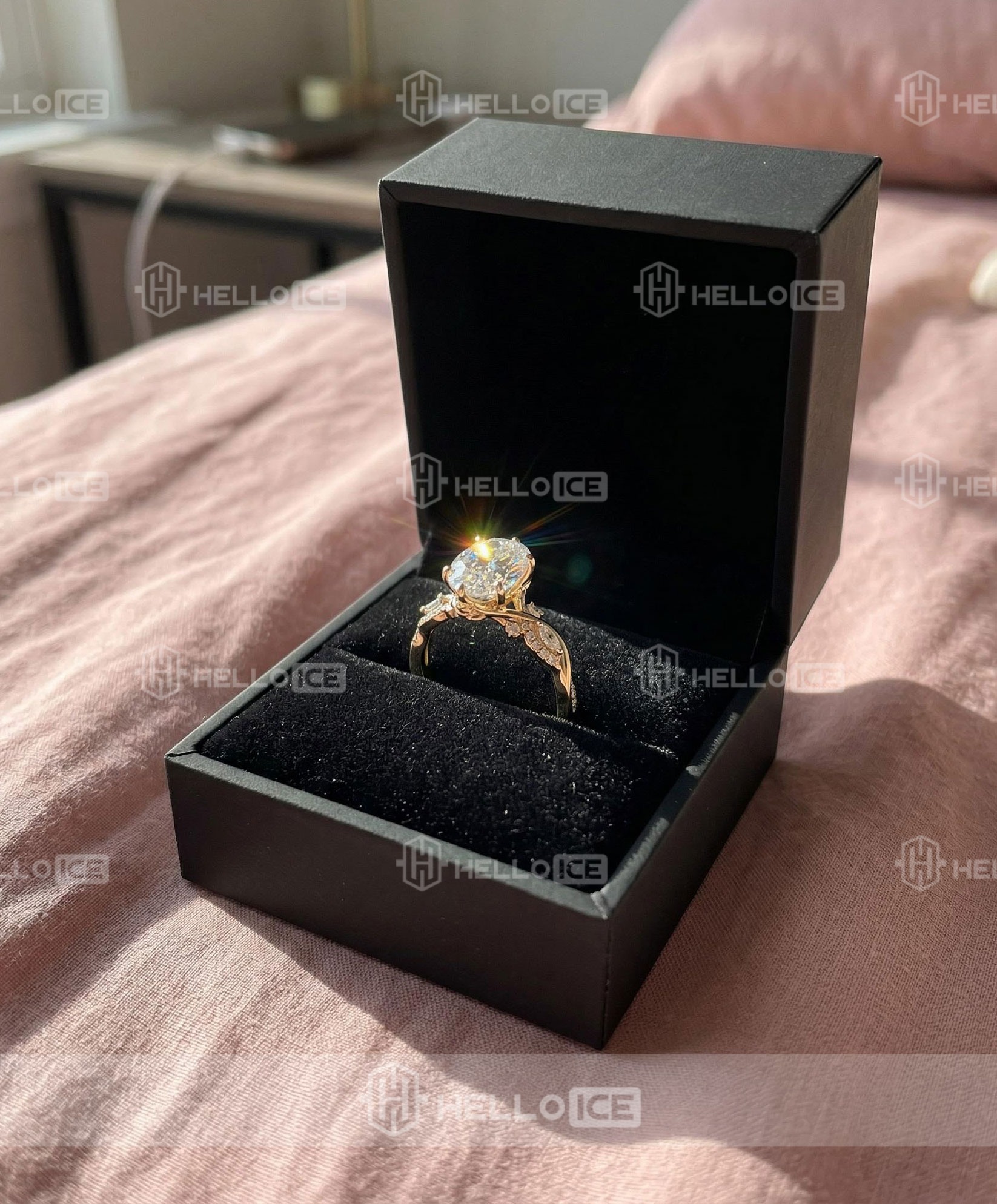 Helloice Review Image