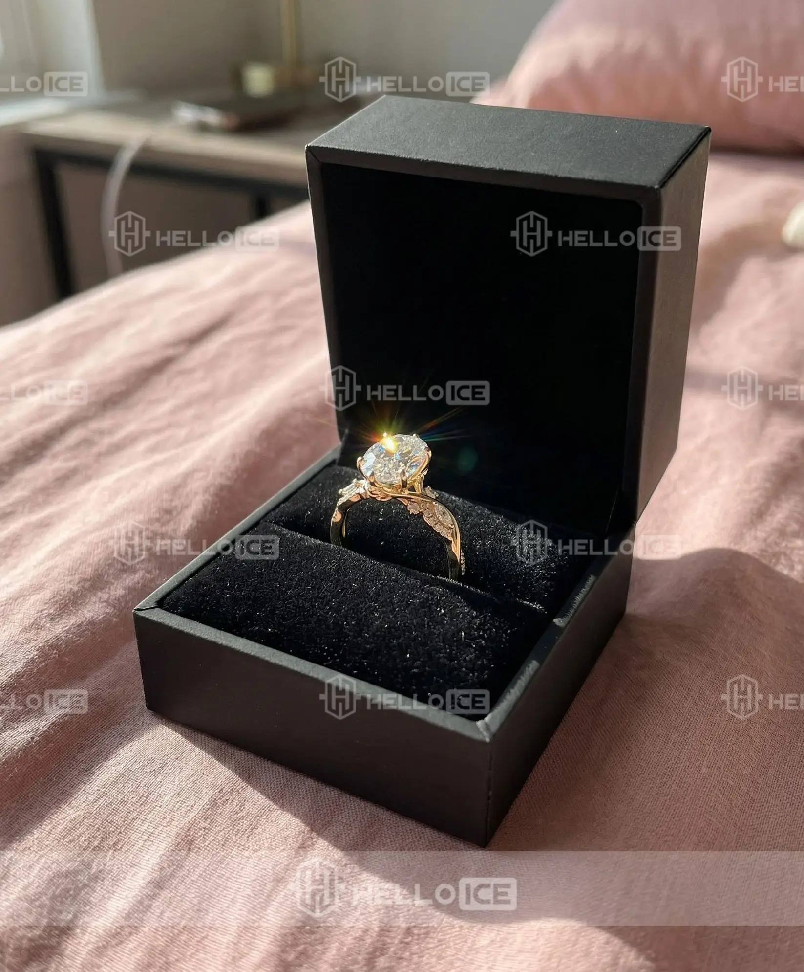 Helloice Review Image