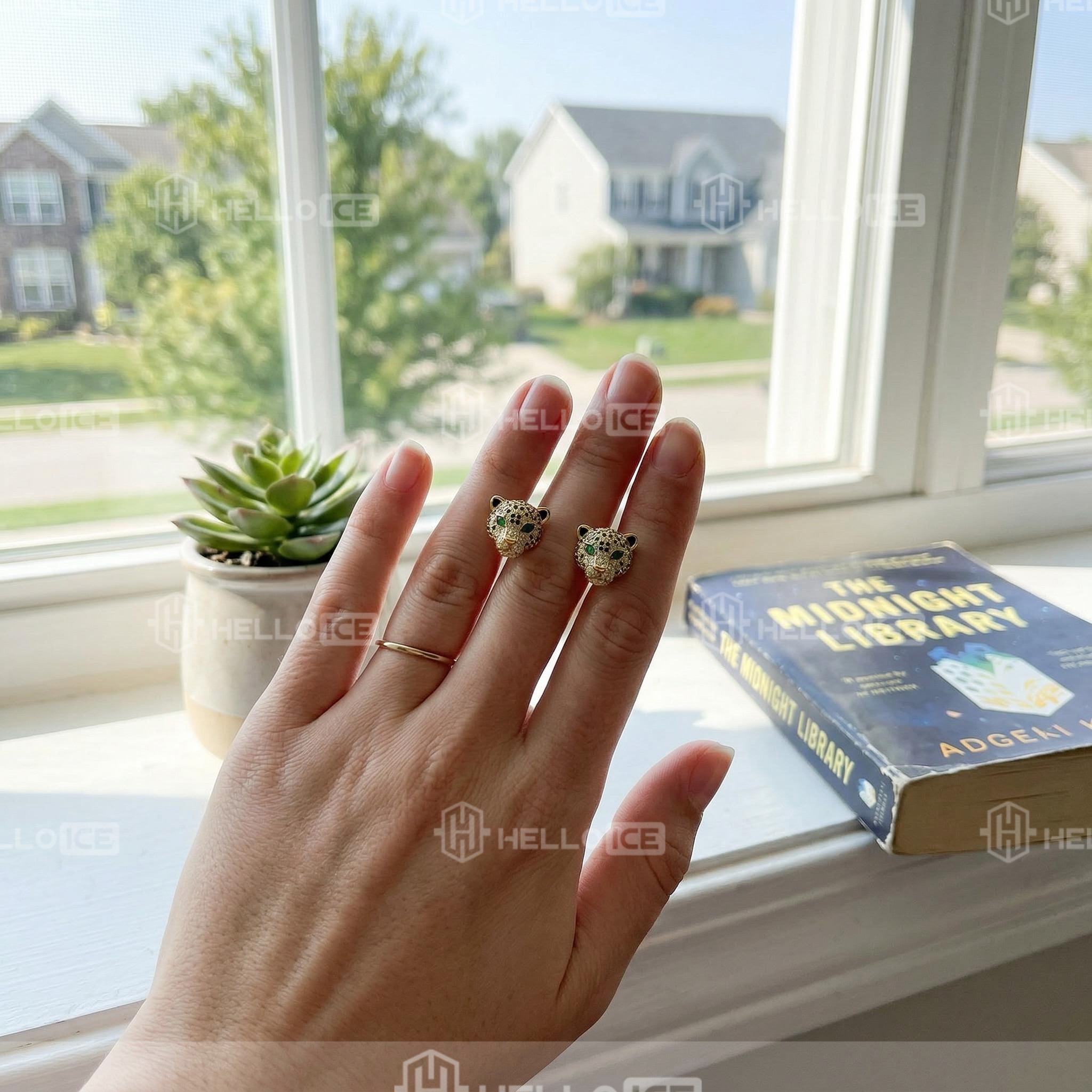 Helloice Review Image