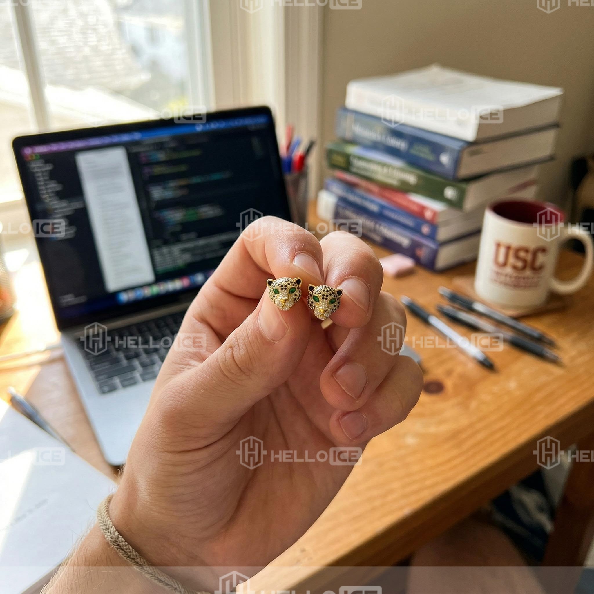 Helloice Review Image