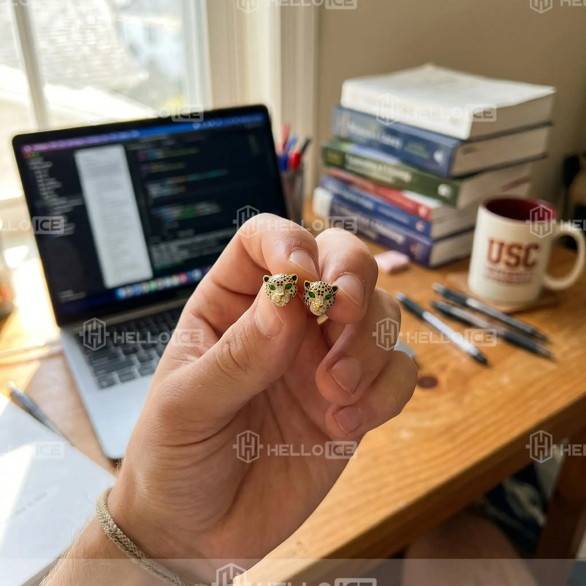 Helloice Review Image