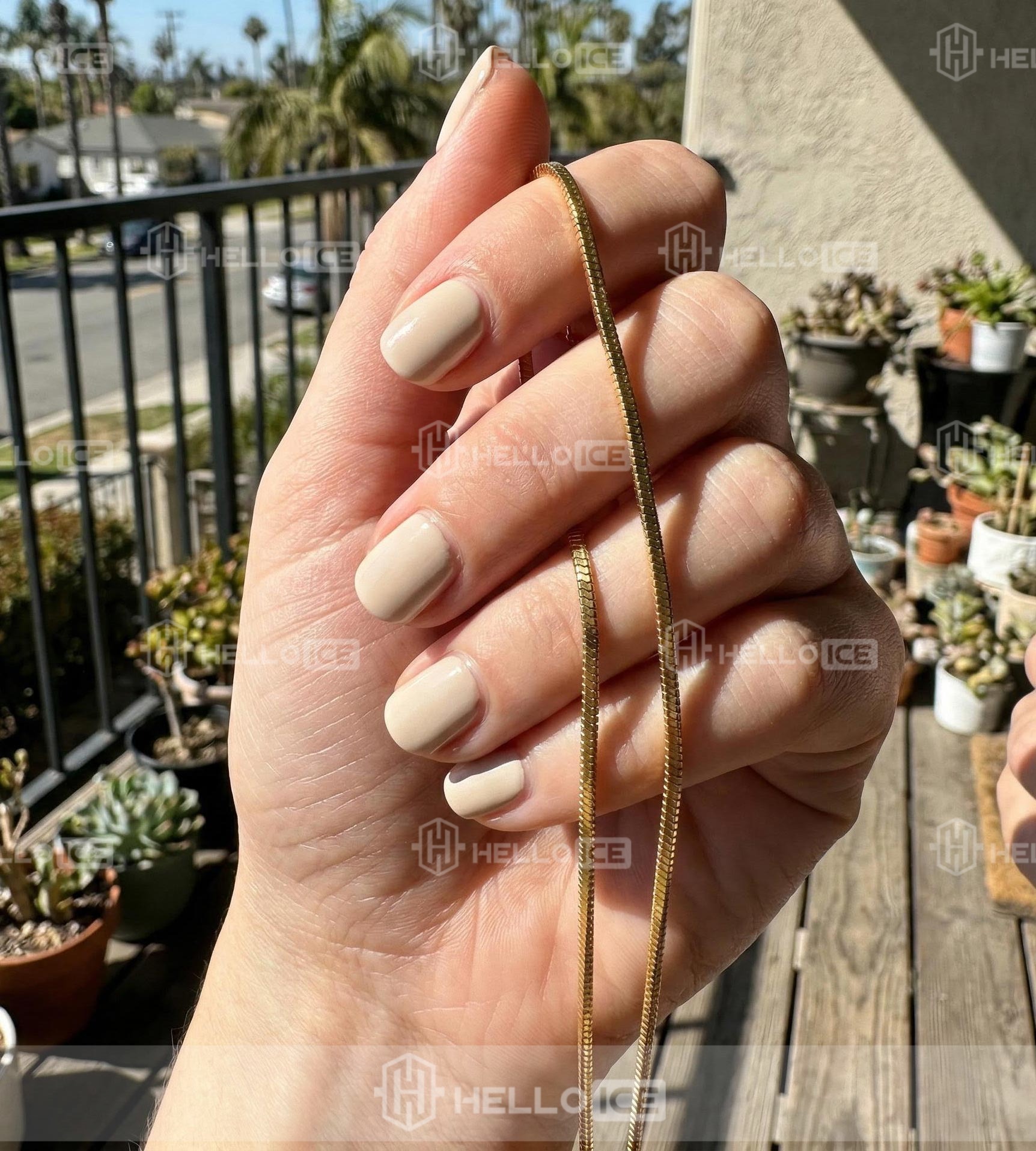 Helloice Review Image