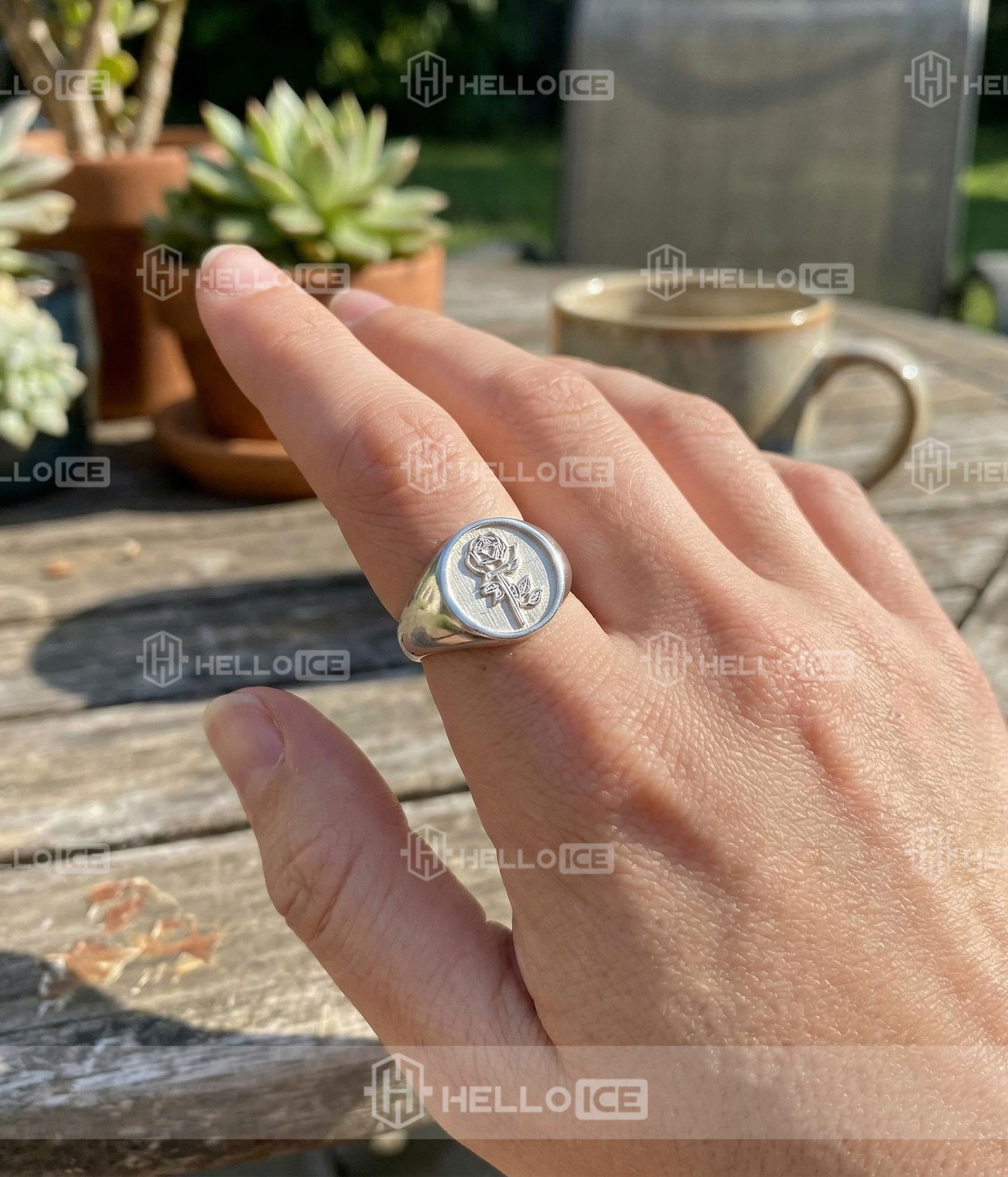 Helloice Review Image