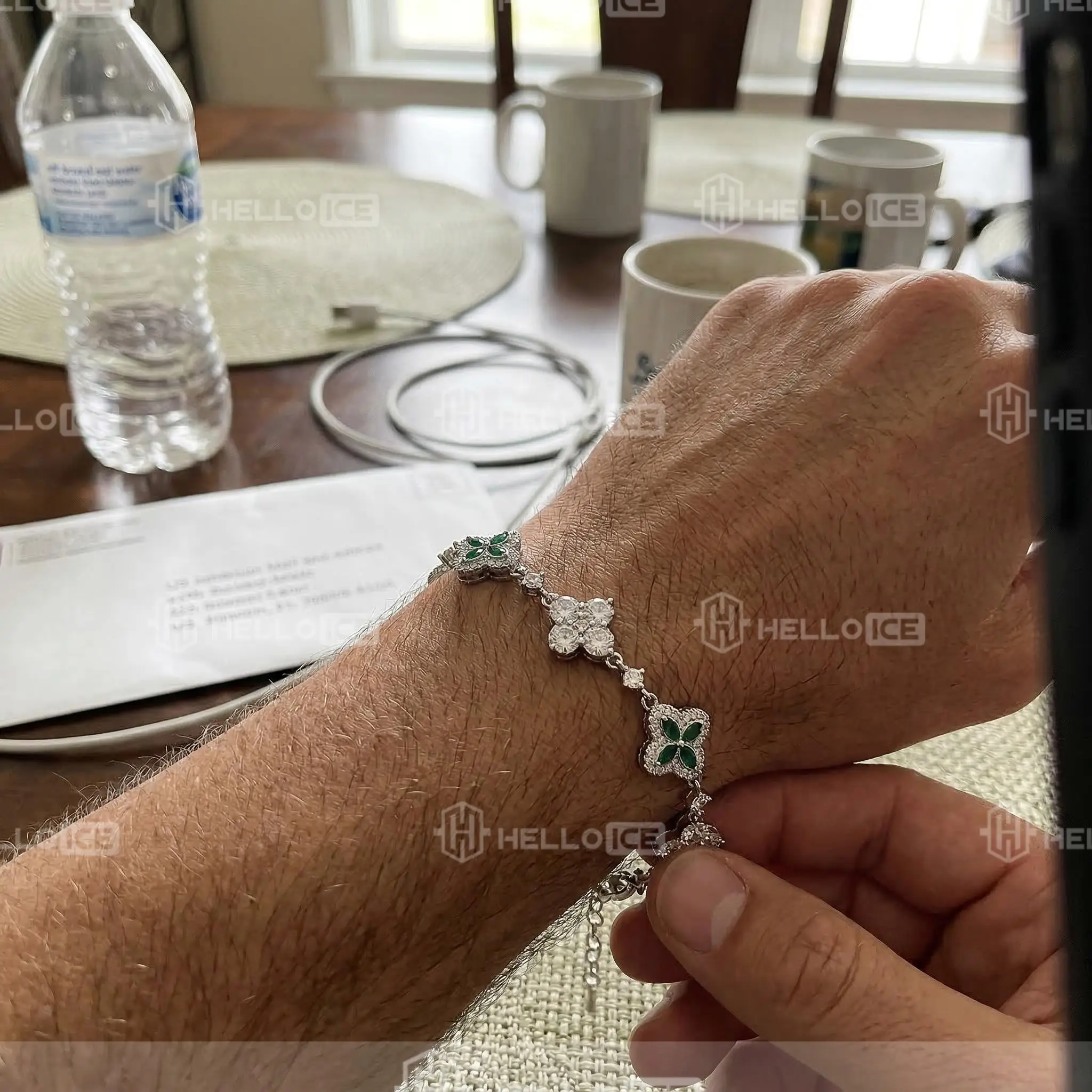 Helloice Review Image